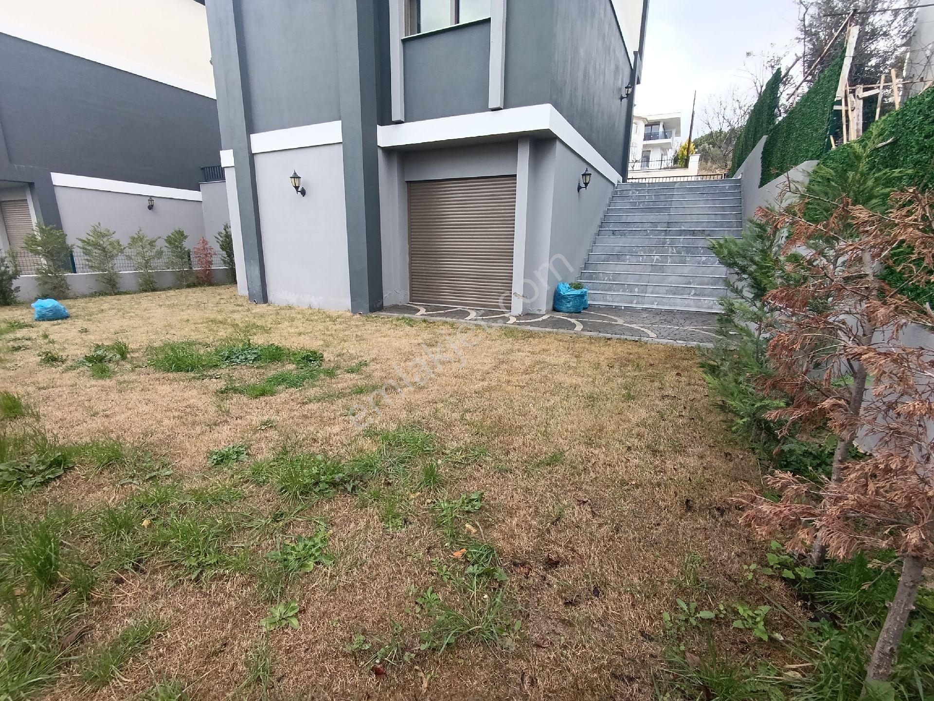 Soğucakta Tek Müstakil Sıfır - Görsel 4