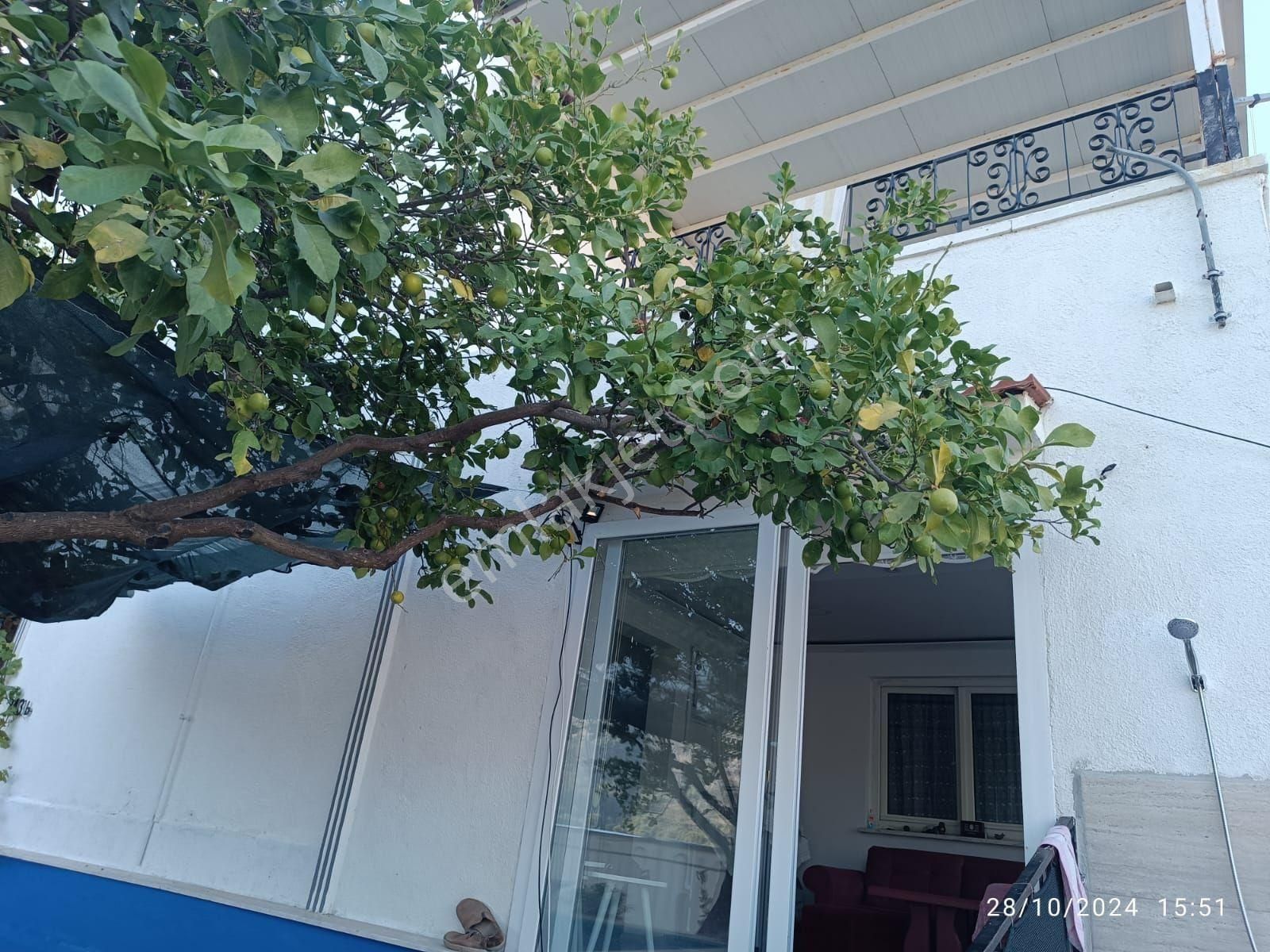 Dalaman Dubleks Ev - Görsel 12