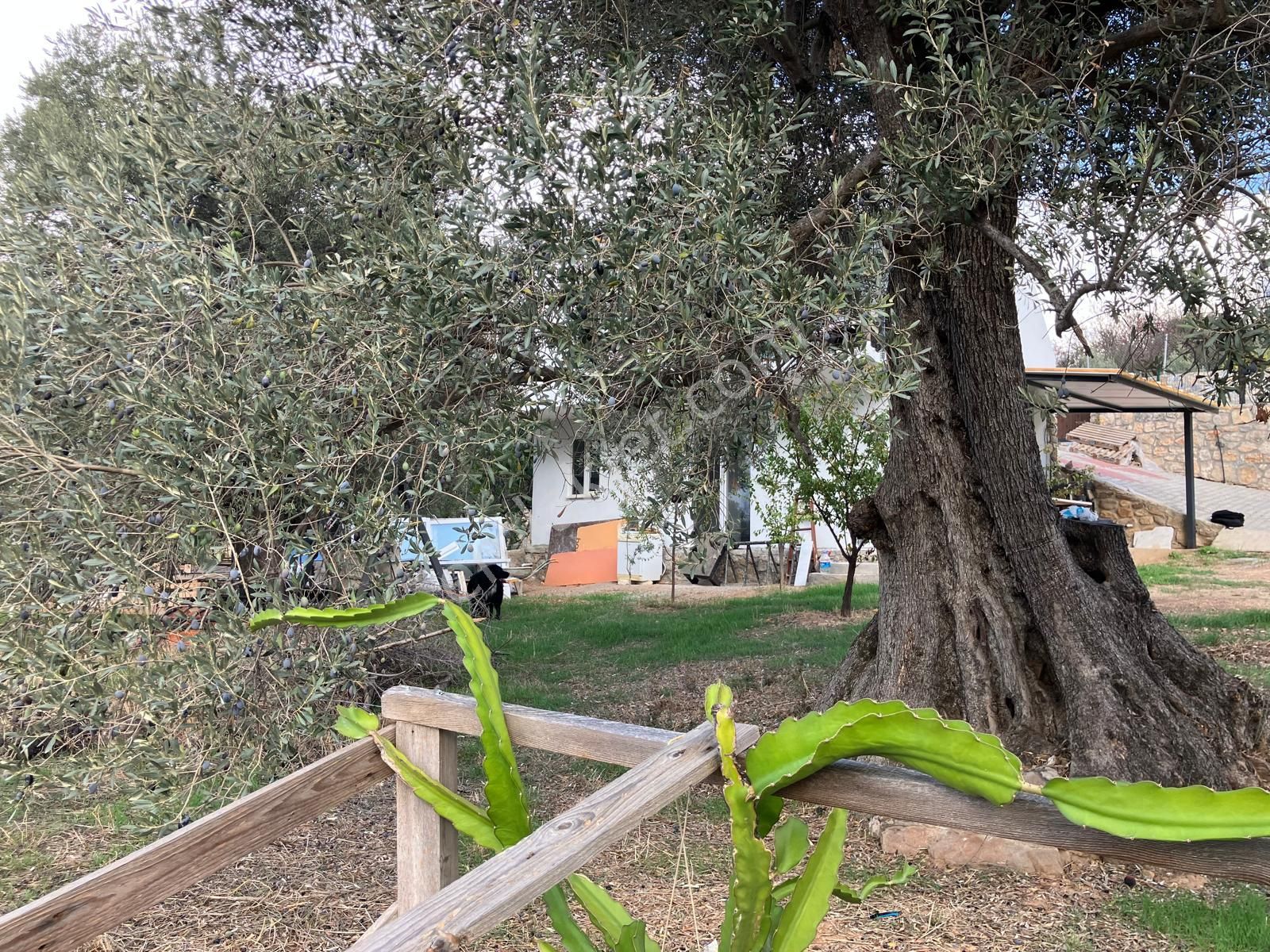 Milas Kuzyakada Müstakil Bahçeli Satılık Villa - Görsel 29