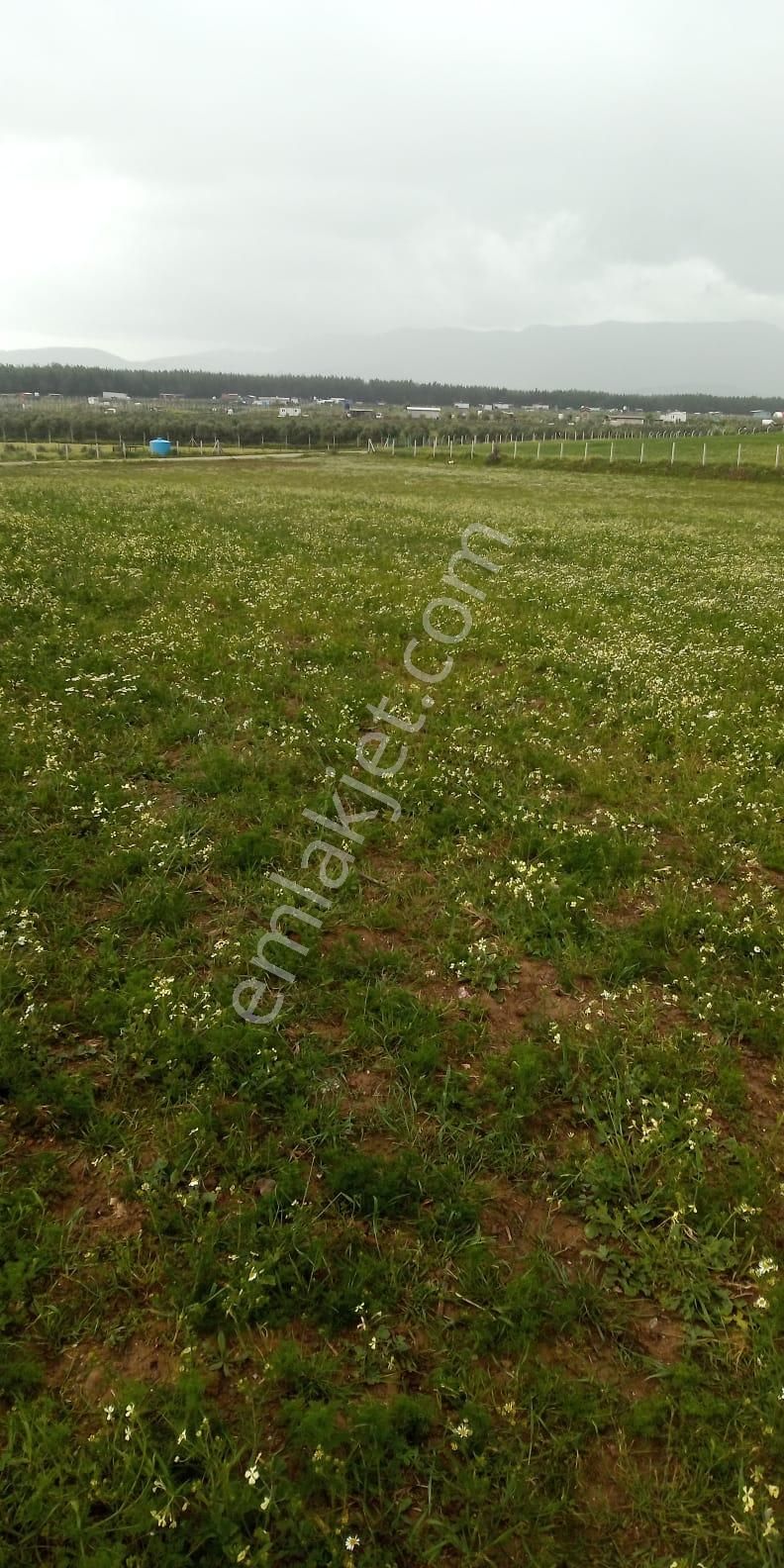 Fiyat Düştü!!! Menderes Muhteşem Konum 4900 M2 Hisse Tapulu Arsa - Görsel 14