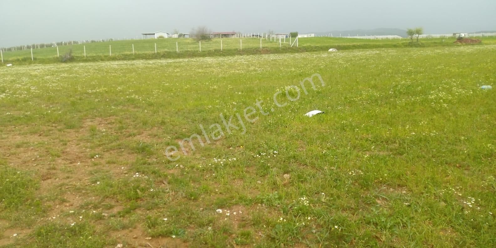 Fiyat Düştü!!! Menderes Muhteşem Konum 4900 M2 Hisse Tapulu Arsa - Görsel 7