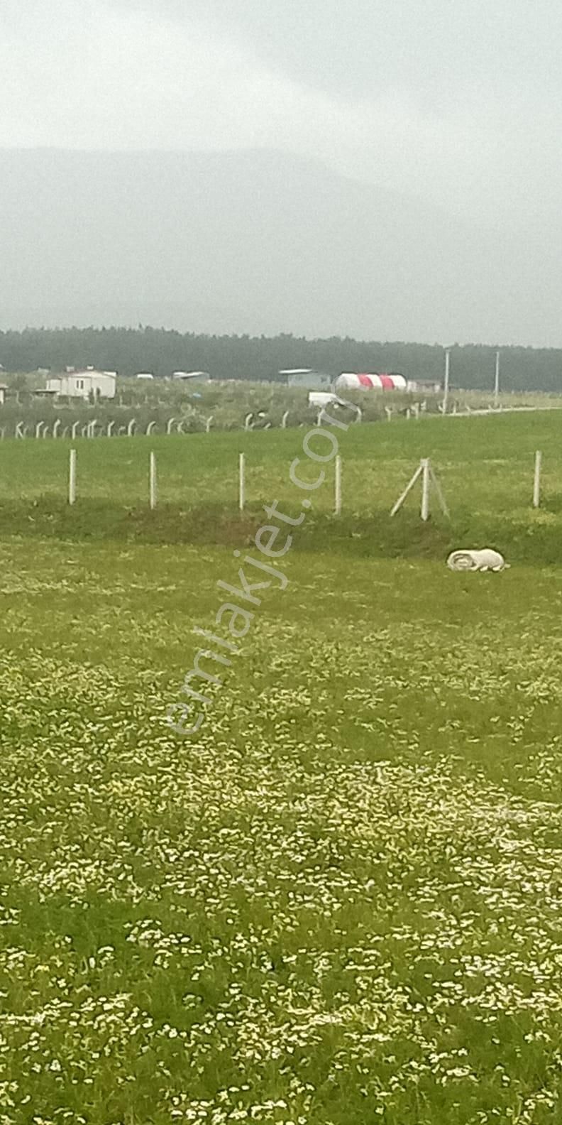 Fiyat Düştü!!! Menderes Muhteşem Konum 4900 M2 Hisse Tapulu Arsa - Görsel 15