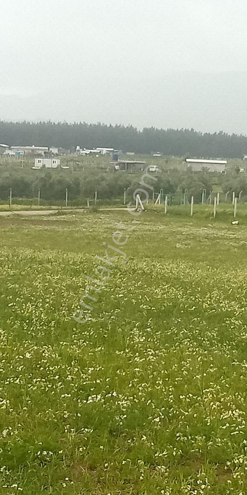 Fiyat Düştü!!! Menderes Muhteşem Konum 4900 M2 Hisse Tapulu Arsa - Görsel 16