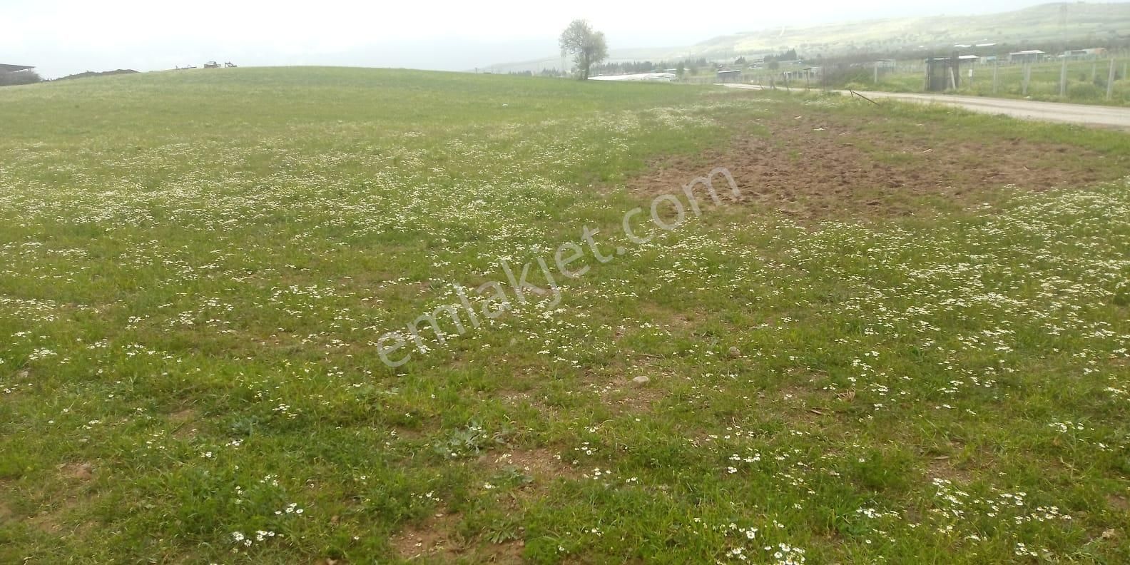 Fiyat Düştü!!! Menderes Muhteşem Konum 4900 M2 Hisse Tapulu Arsa - Görsel 9