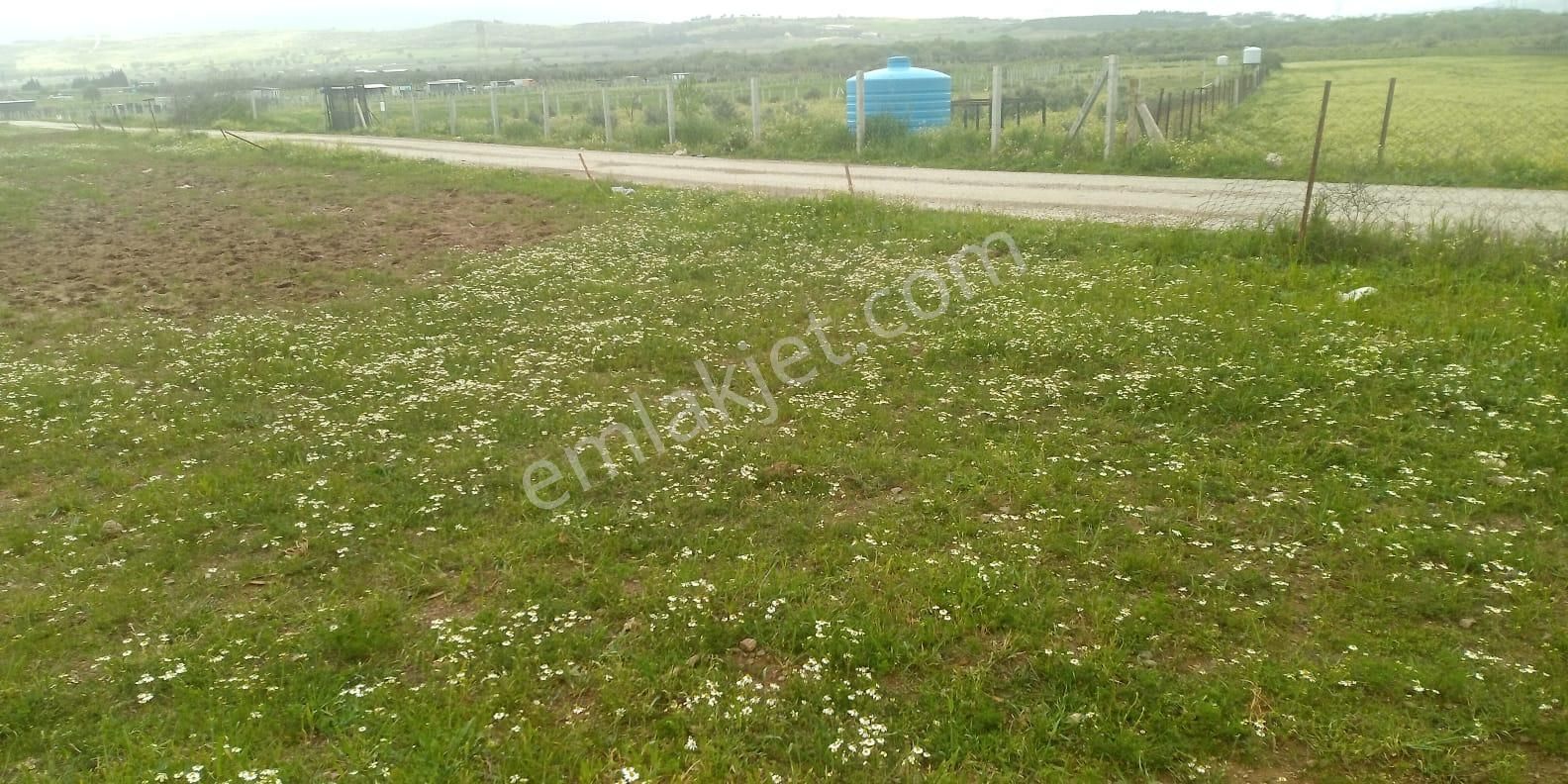 Fiyat Düştü!!! Menderes Muhteşem Konum 4900 M2 Hisse Tapulu Arsa - Görsel 3