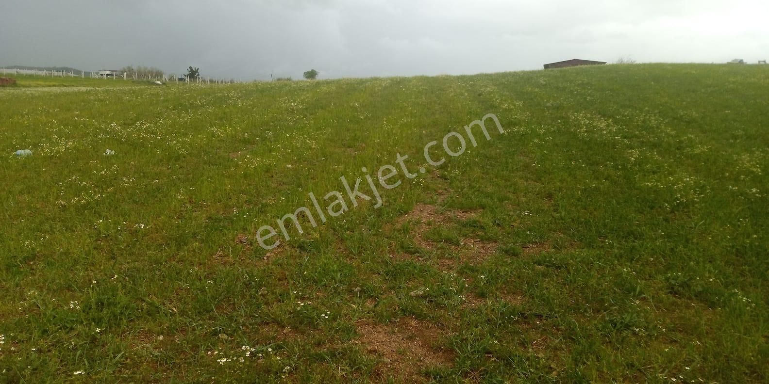 Fiyat Düştü!!! Menderes Muhteşem Konum 4900 M2 Hisse Tapulu Arsa - Görsel 5