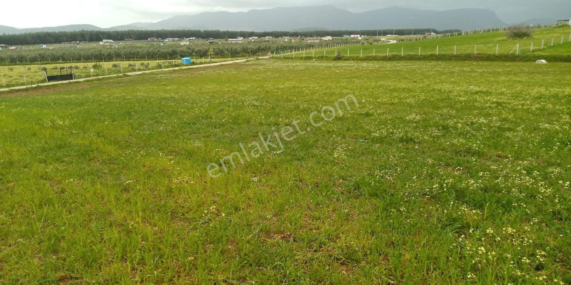 Fiyat Düştü!!! Menderes Muhteşem Konum 4900 M2 Hisse Tapulu Arsa - Görsel 10