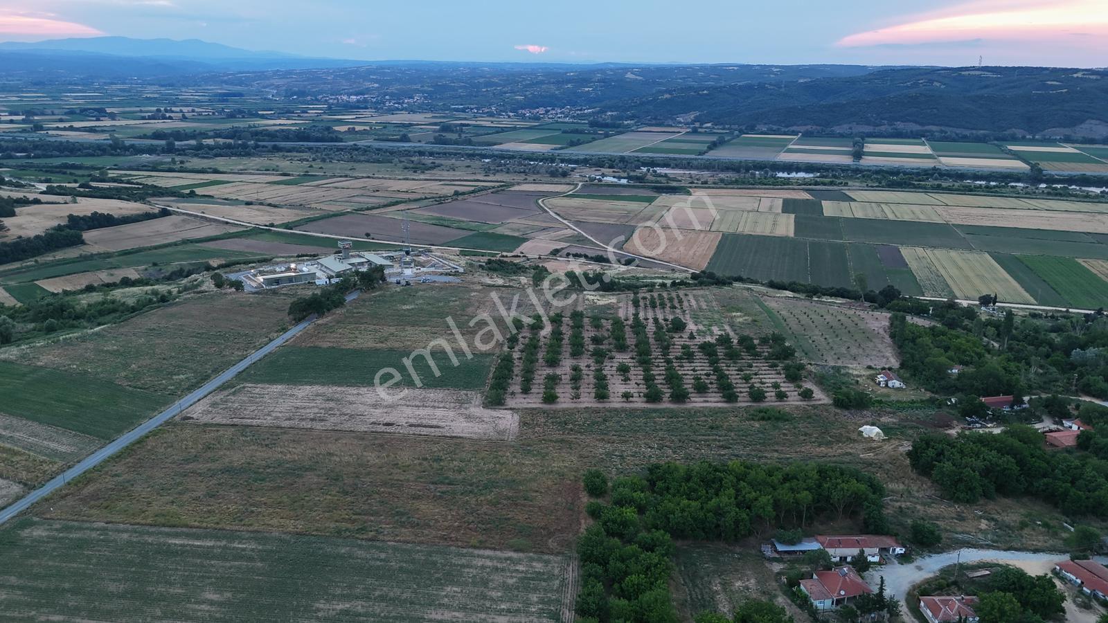 Edirne Meriçte Acil Satılık Arazi - Görsel 11