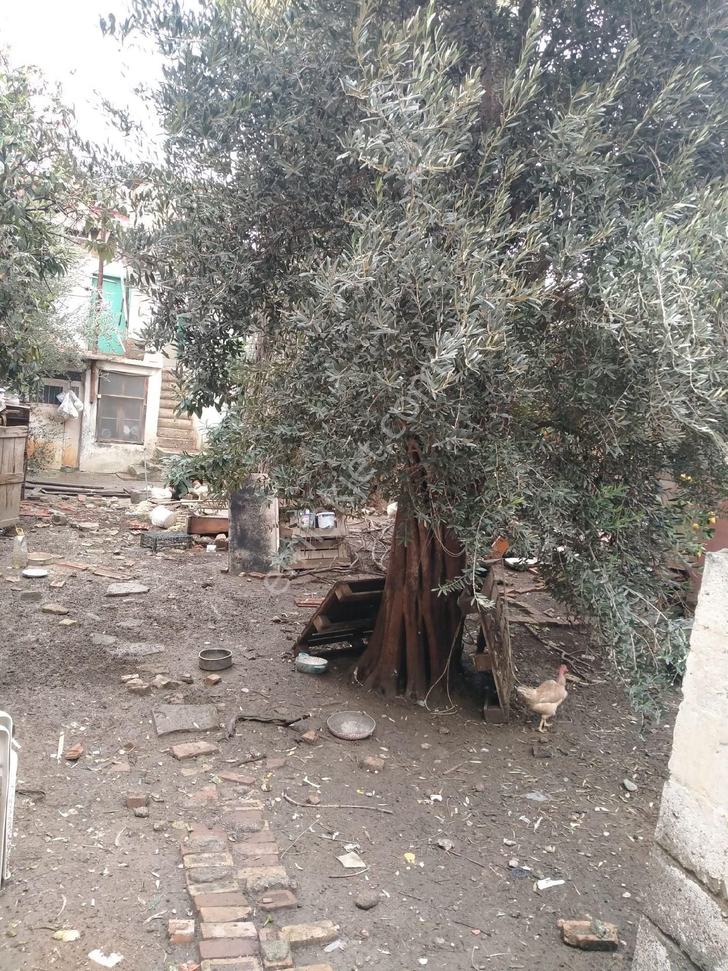 Acil Satlik. Kelepir - Görsel 2