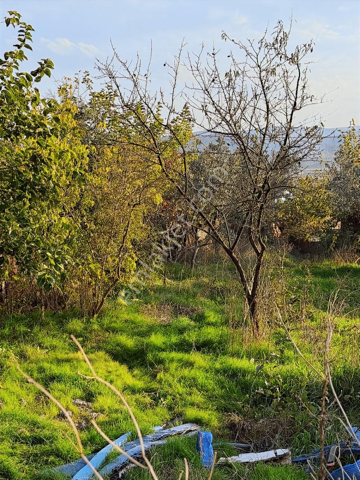 **çift Yola Cepheli 527 M2 Arsası Bulunan Satılık Müstakil Ev** - Görsel 32