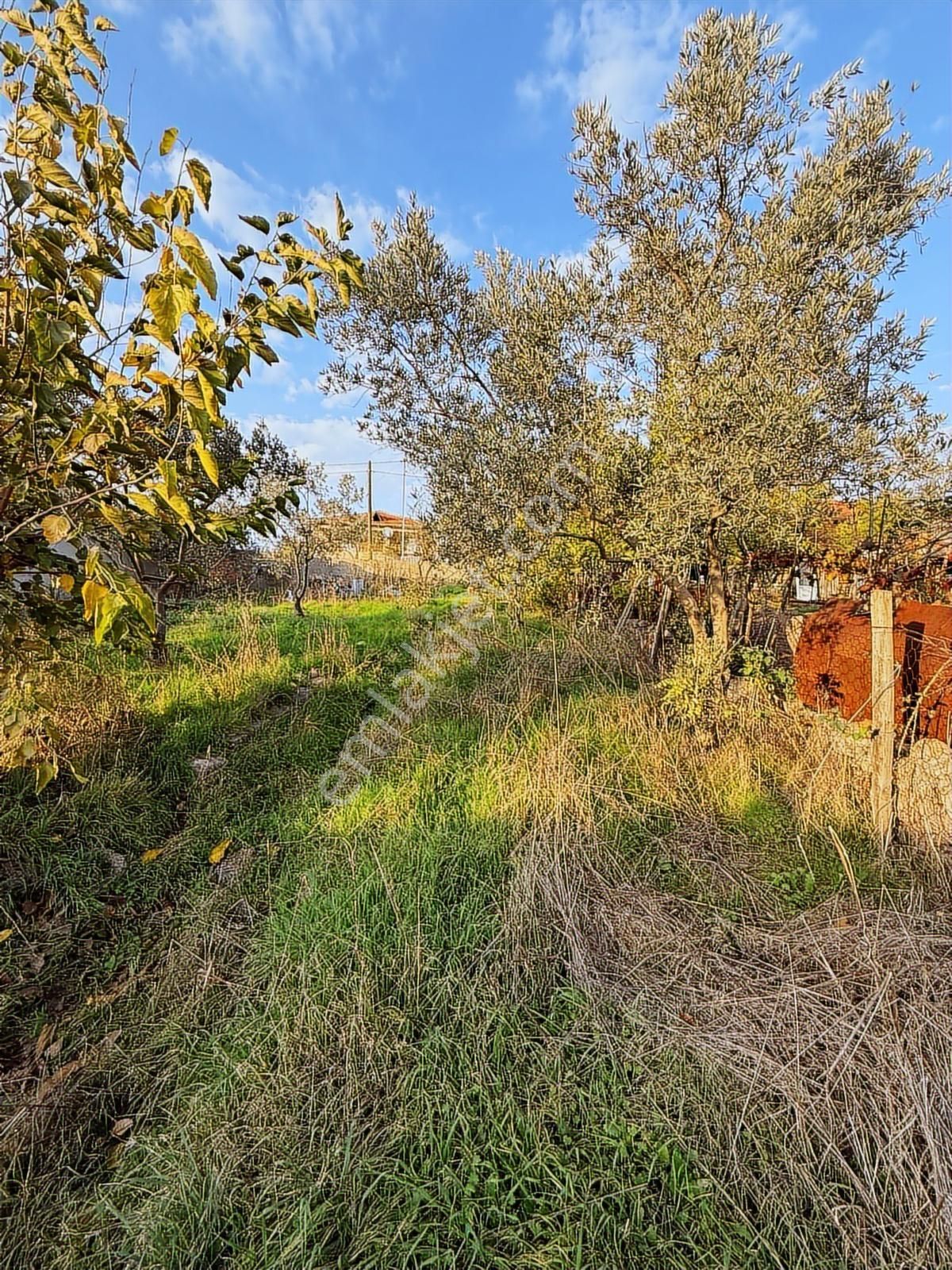 **çift Yola Cepheli 527 M2 Arsası Bulunan Satılık Müstakil Ev** - Görsel 5