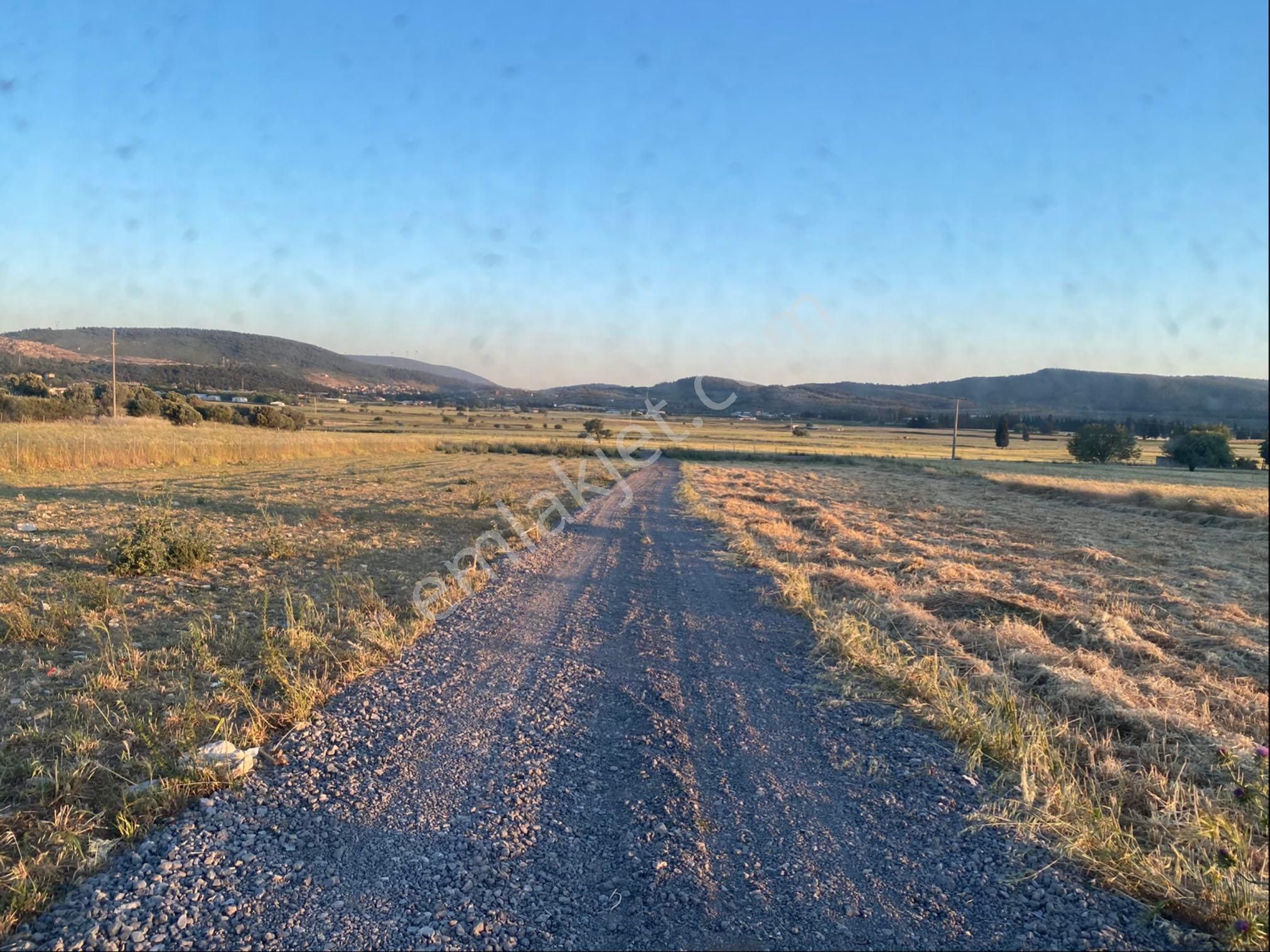 Foça'nın Yükselen Değeri Ilıpınar'da, Ticari İmara Komşu, Ana Yola Yakın Gelecek Vaat Eden Tarla
