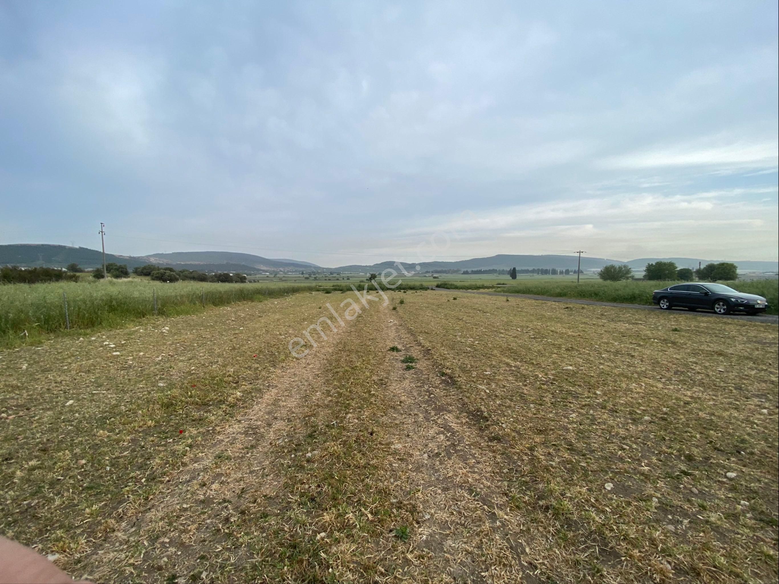 Foça'nın Yükselen Değeri Ilıpınar'da, Ticari İmara Komşu, Ana Yola Yakın Gelecek Vaat Eden Tarla - Görsel 2