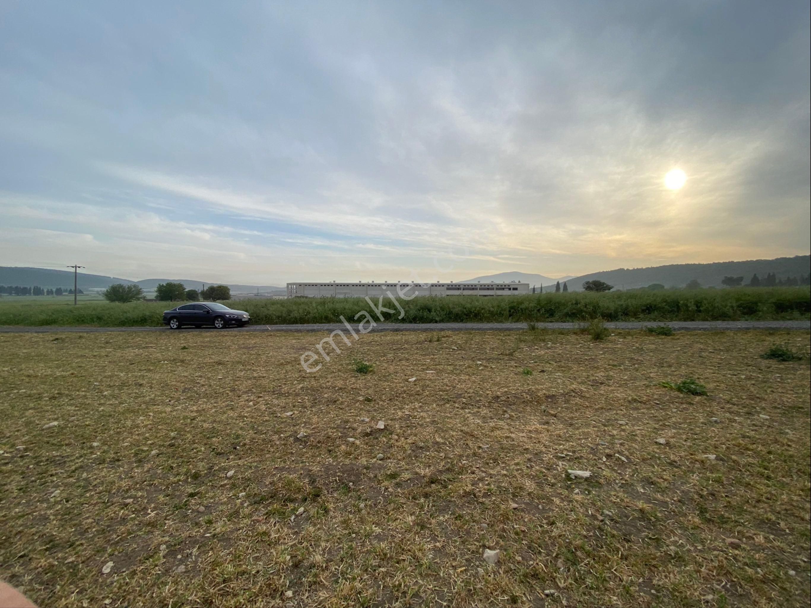 Foça'nın Yükselen Değeri Ilıpınar'da, Ticari İmara Komşu, Ana Yola Yakın Gelecek Vaat Eden Tarla - Görsel 3