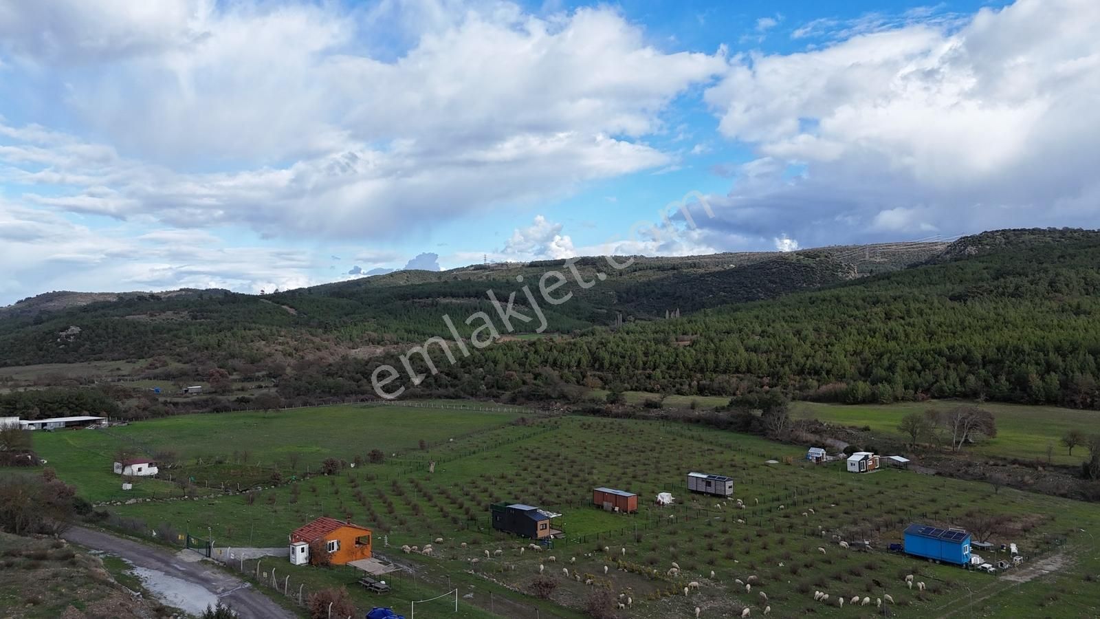 Realivadan Bergama Koyuneli'nde Satılık Kooperatif Hissesi - Görsel 9