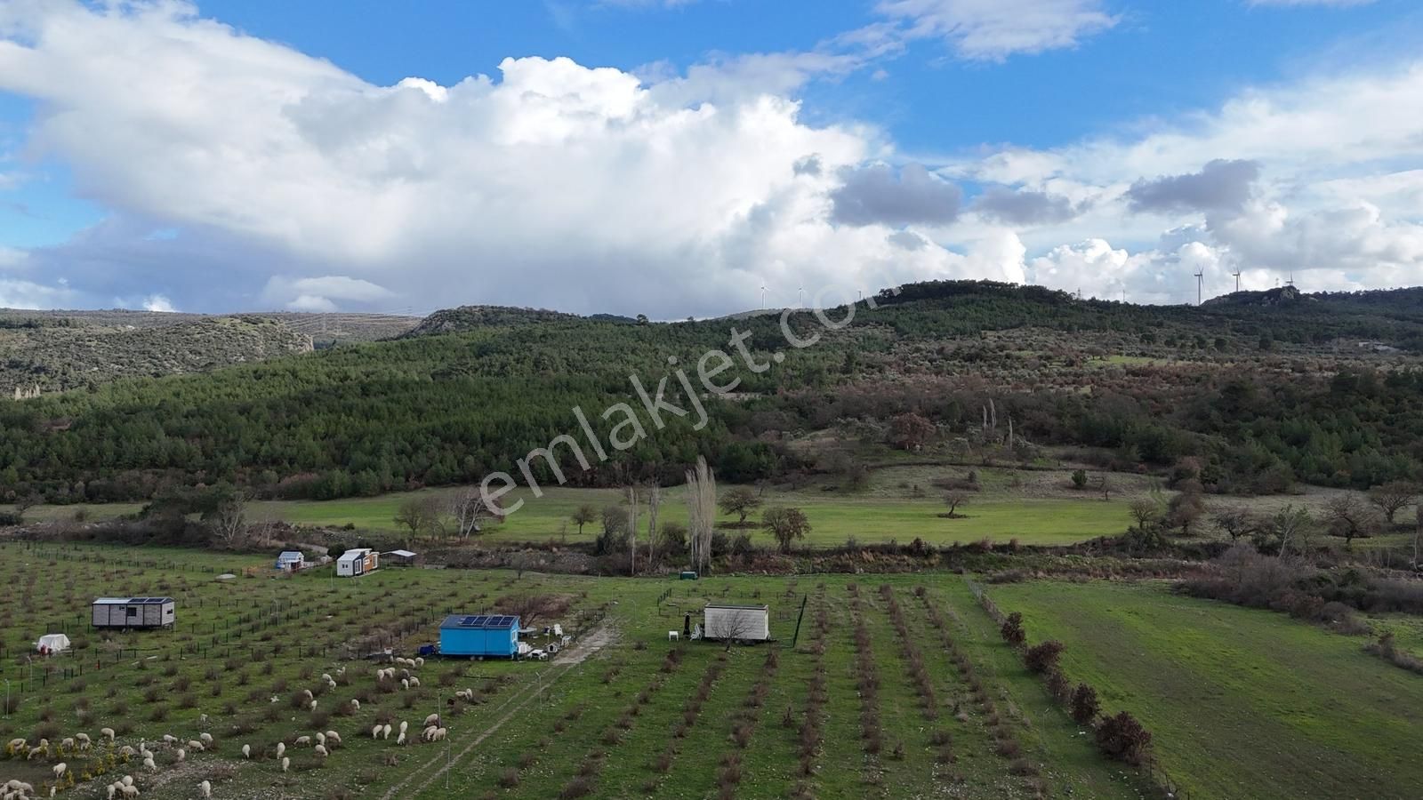 Realivadan Bergama Koyuneli'nde Satılık Kooperatif Hissesi - Görsel 34