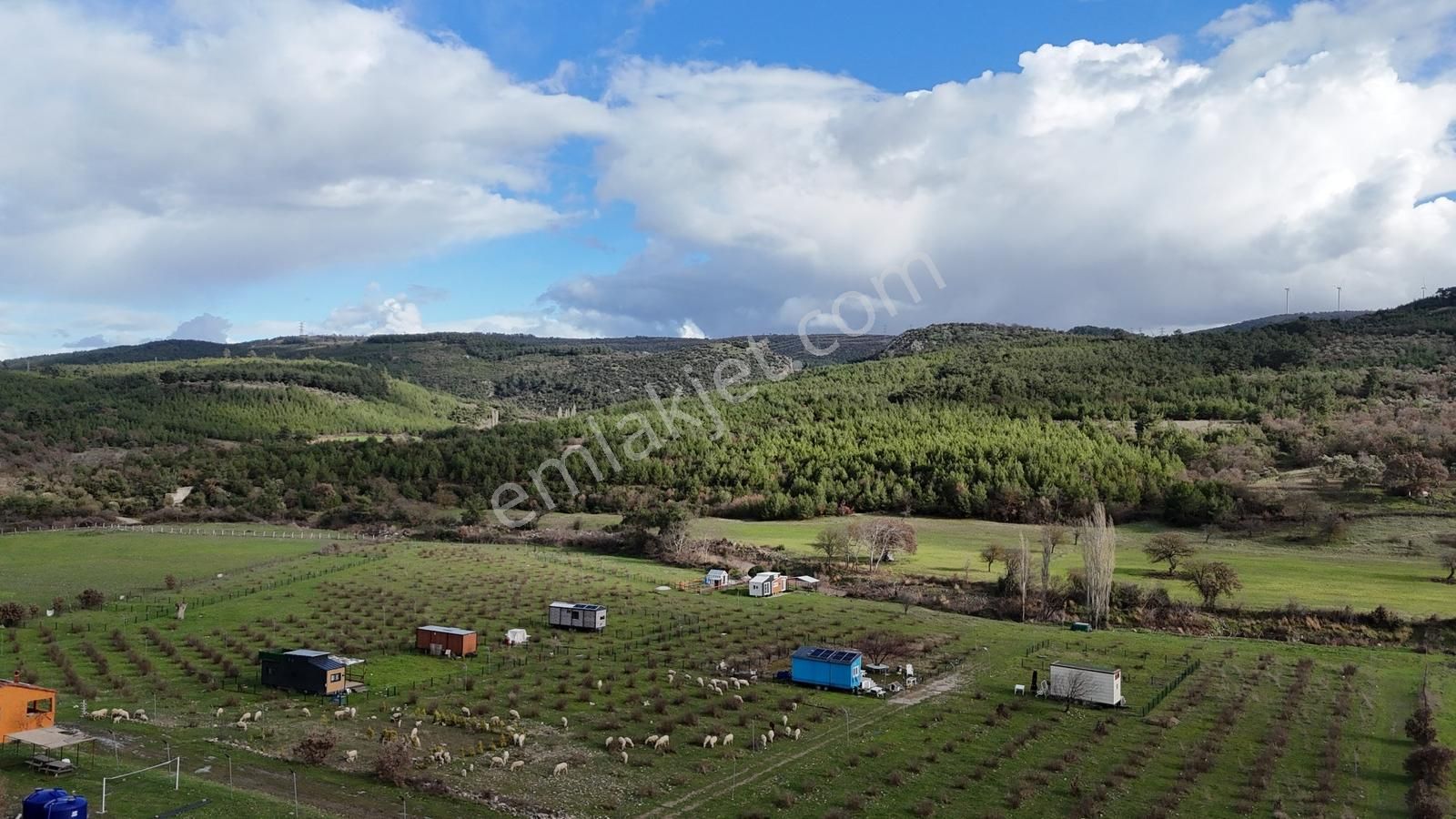 Realivadan Bergama Koyuneli'nde Satılık Kooperatif Hissesi - Görsel 12