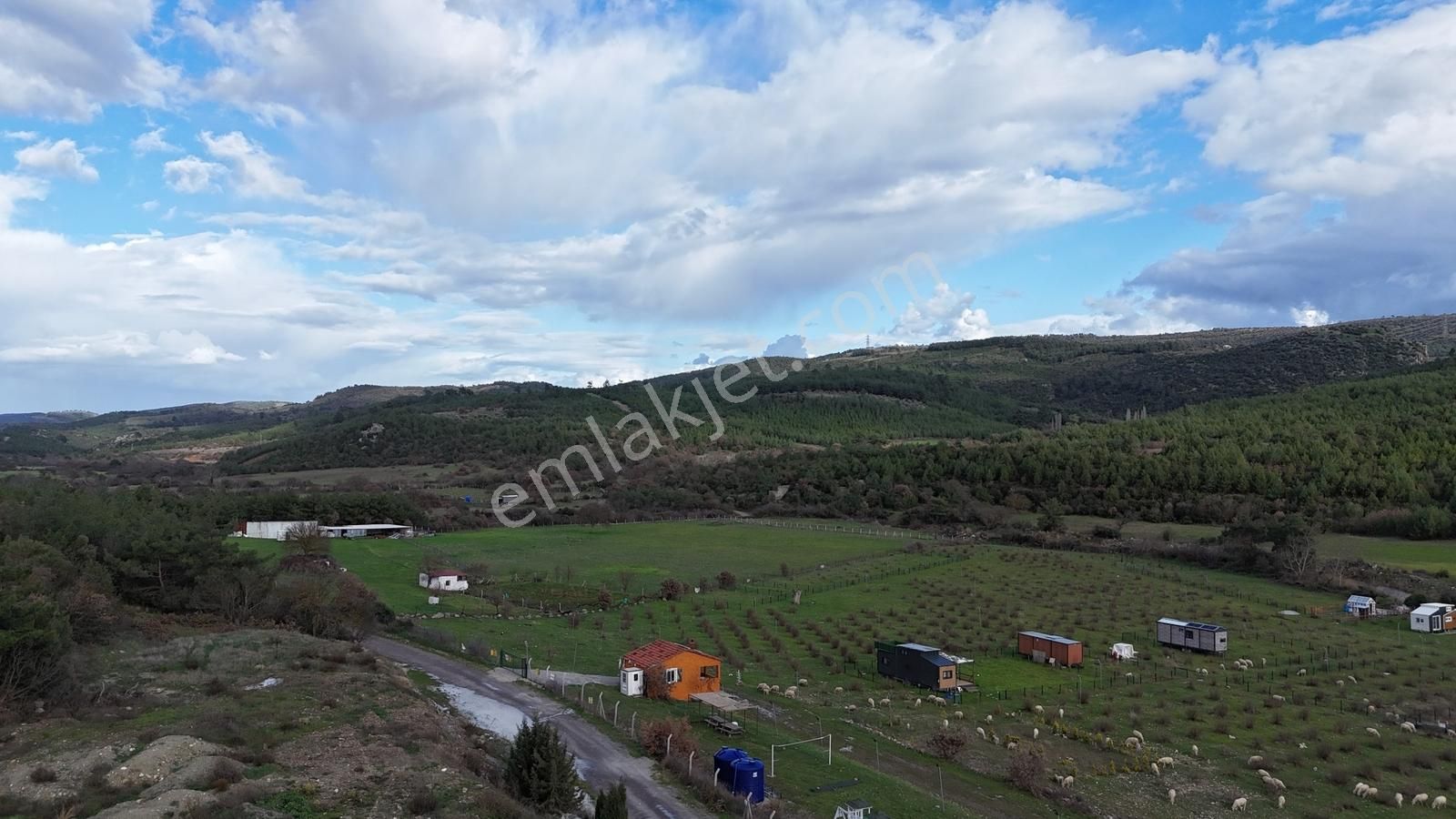 Realivadan Bergama Koyuneli'nde Satılık Kooperatif Hissesi - Görsel 3