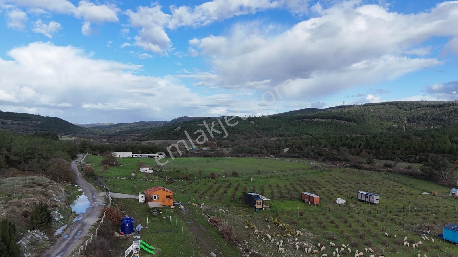 Realivadan Bergama Koyuneli'nde Satılık Kooperatif Hissesi - Görsel 14