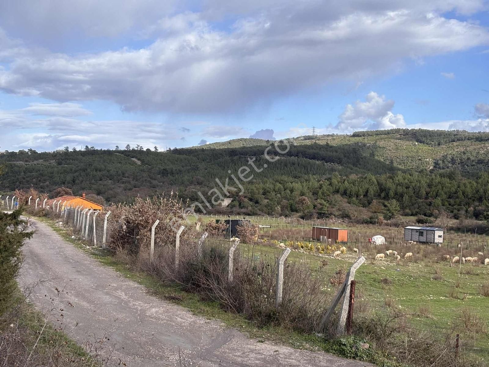 Realivadan Bergama Koyuneli'nde Satılık Kooperatif Hissesi - Görsel 30