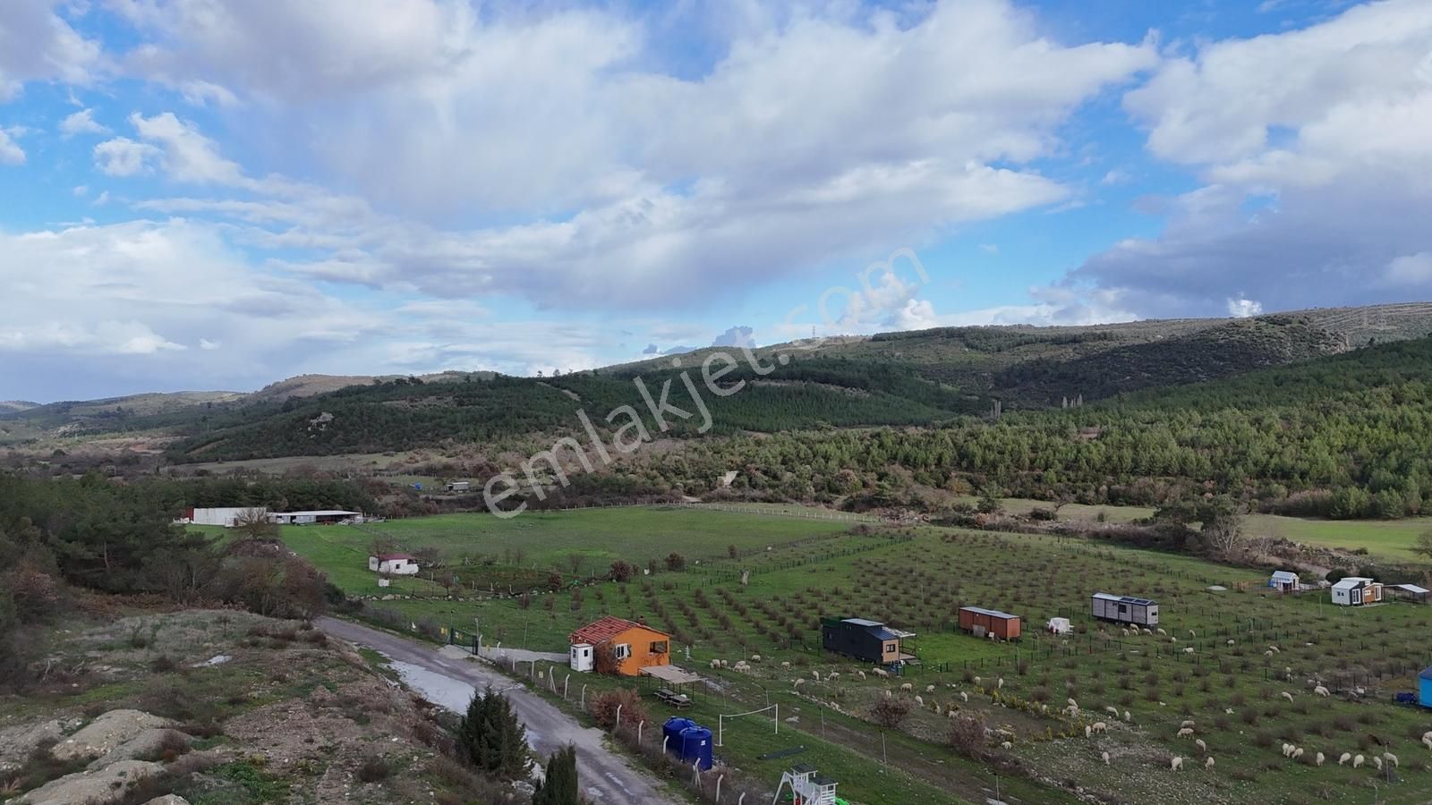 Realivadan Bergama Koyuneli'nde Satılık Kooperatif Hissesi - Görsel 2