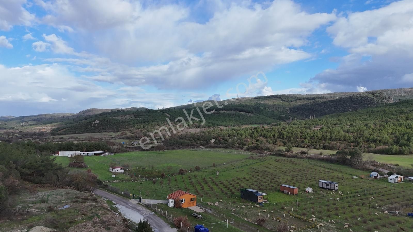 Realivadan Bergama Koyuneli'nde Satılık Kooperatif Hissesi - Görsel 8