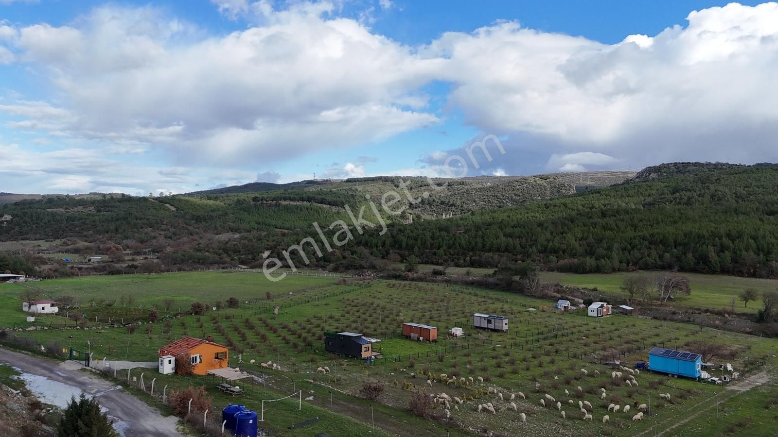 Realivadan Bergama Koyuneli'nde Satılık Kooperatif Hissesi