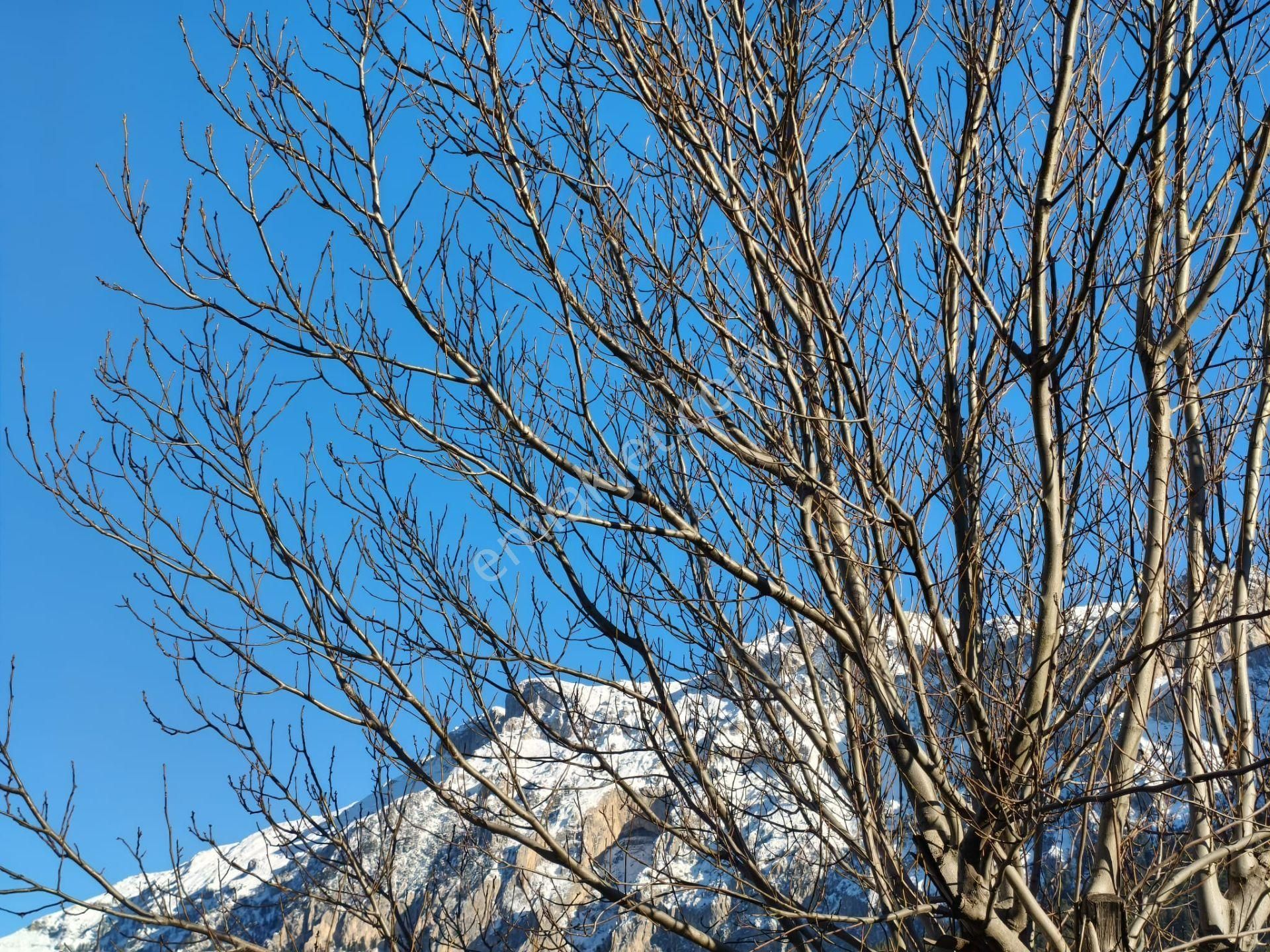 Kar Emlaktan Akçatekir Çarşı Merkezine Yakın 330 M2 Arsa İçinde 3+1 Müstakil Ev - Görsel 31