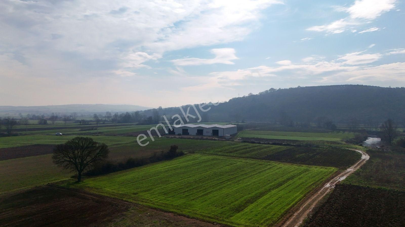 Bursa Mudanya Balabancık Da Kıralık Depo - Görsel 17