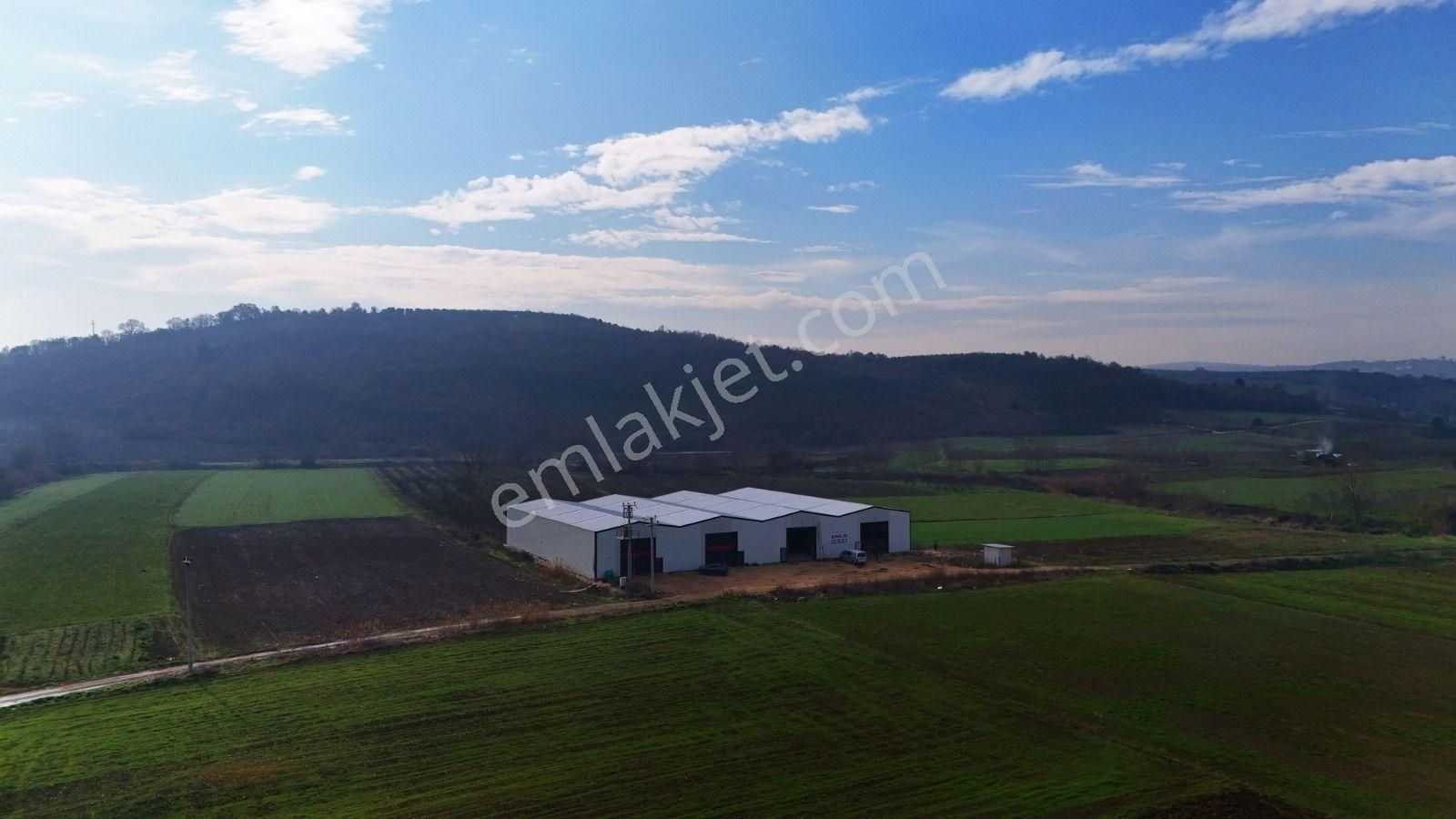 Bursa Mudanya Balabancık Da Kıralık Depo - Görsel 4