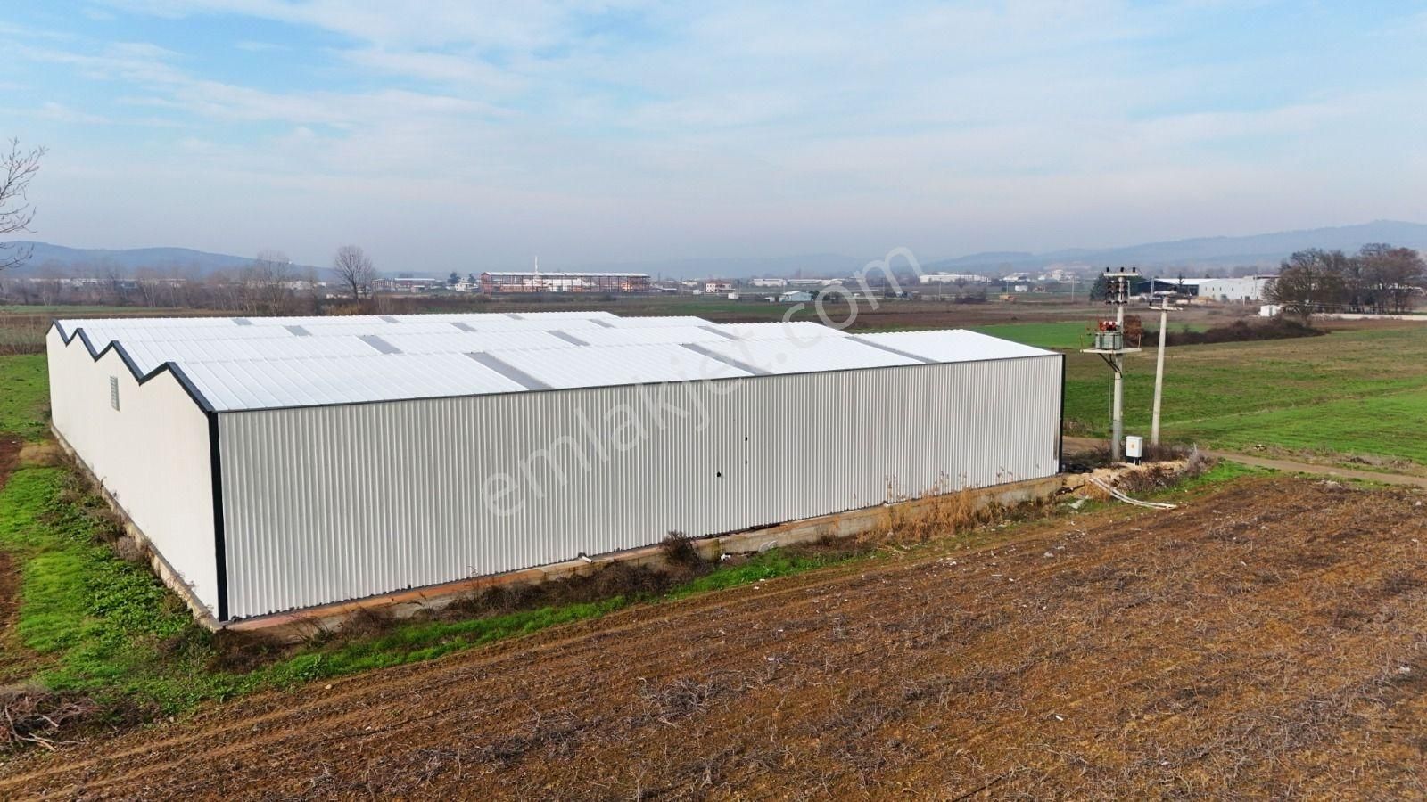 Bursa Mudanya Balabancık Da Kıralık Depo - Görsel 3