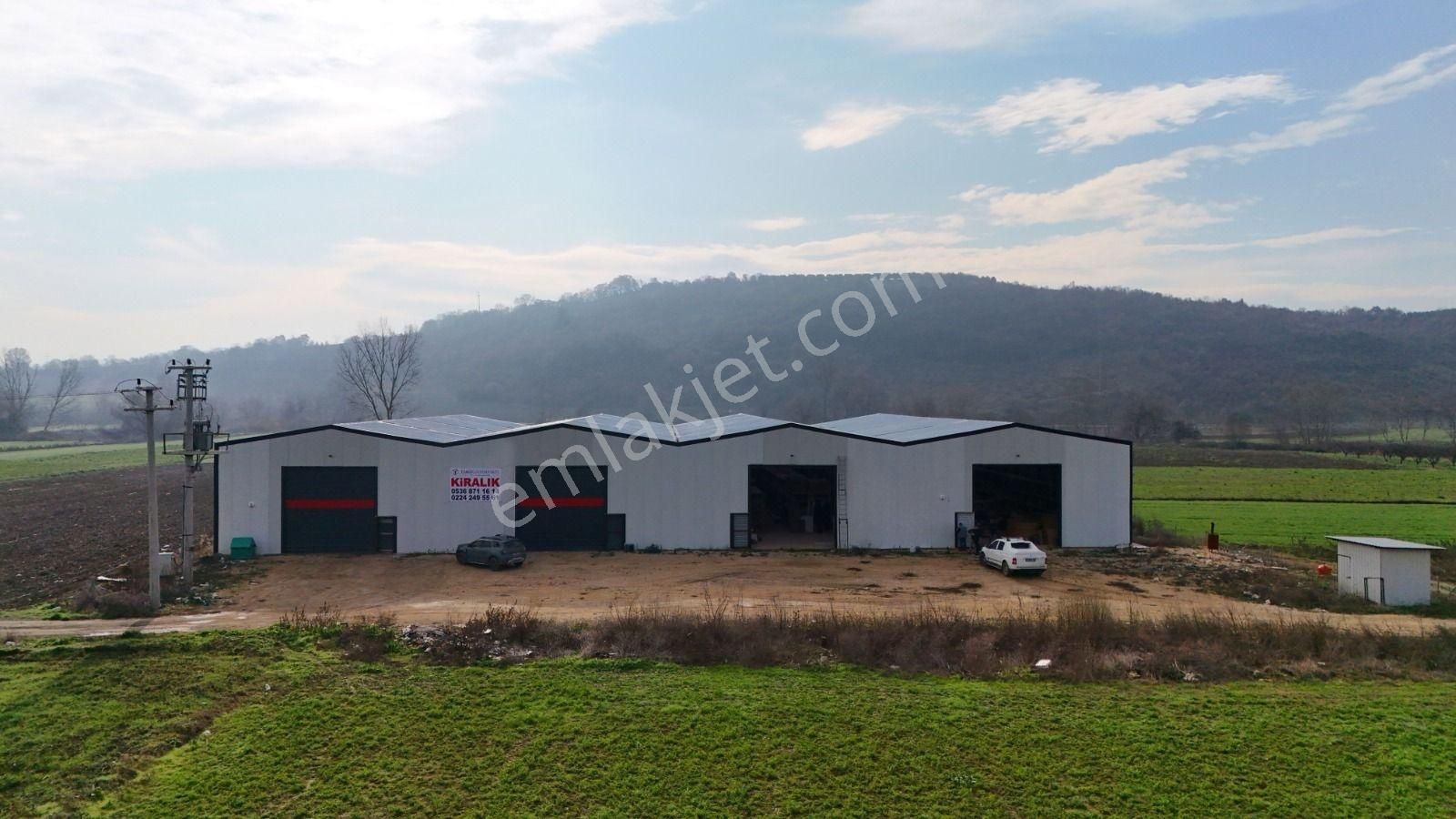 Bursa Mudanya Balabancık Da Kıralık Depo - Görsel 2