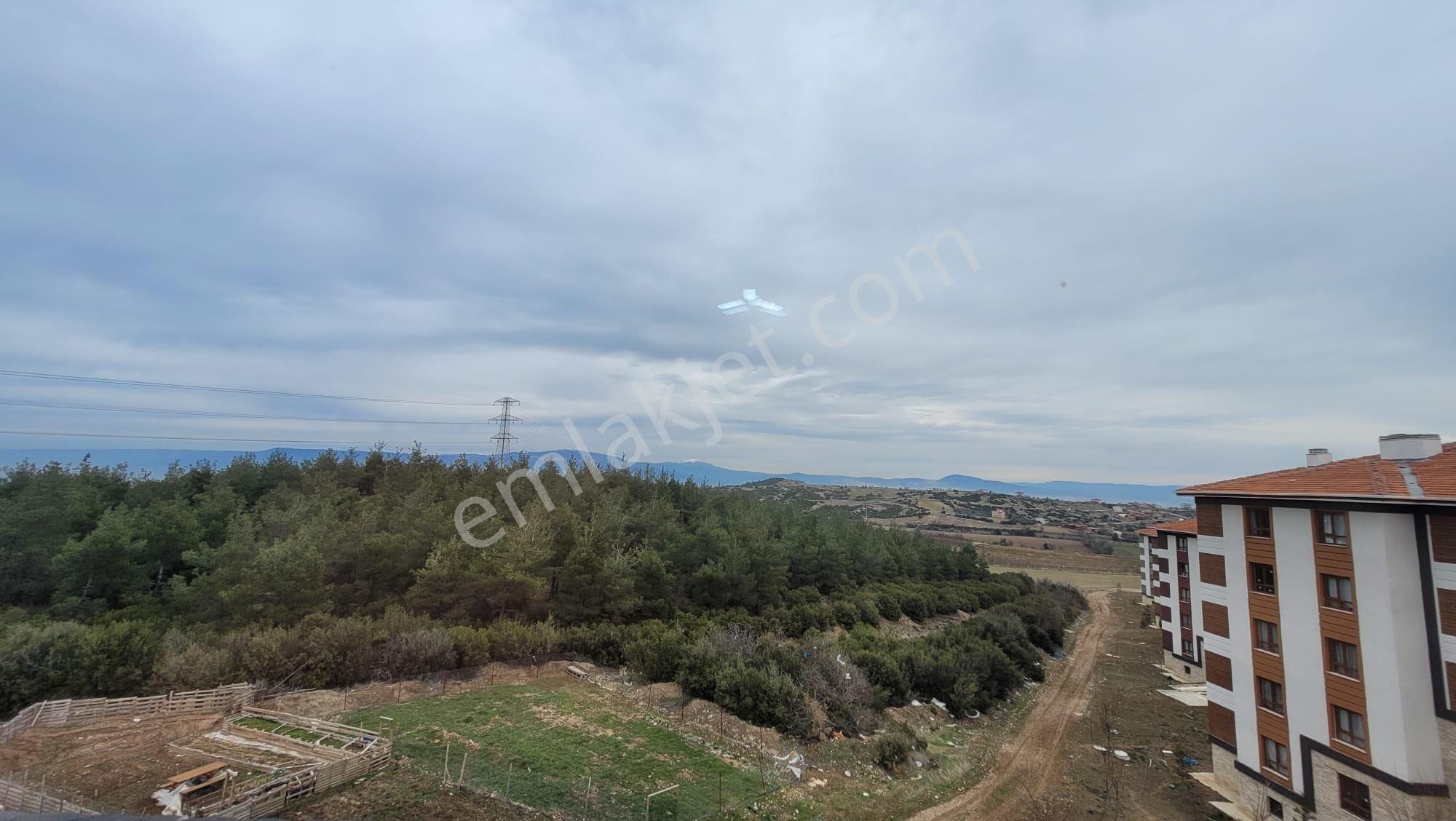 Sıfır Dre Borcu Yoktur - Görsel 4