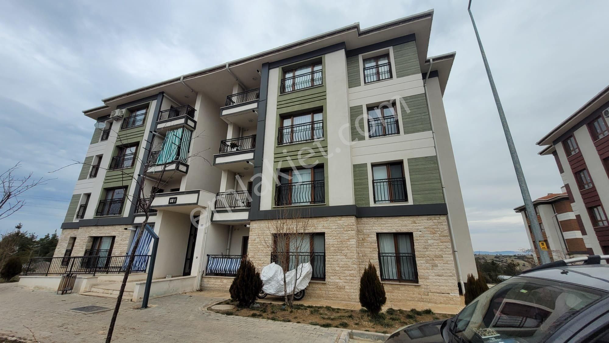 Sıfır Dre Borcu Yoktur