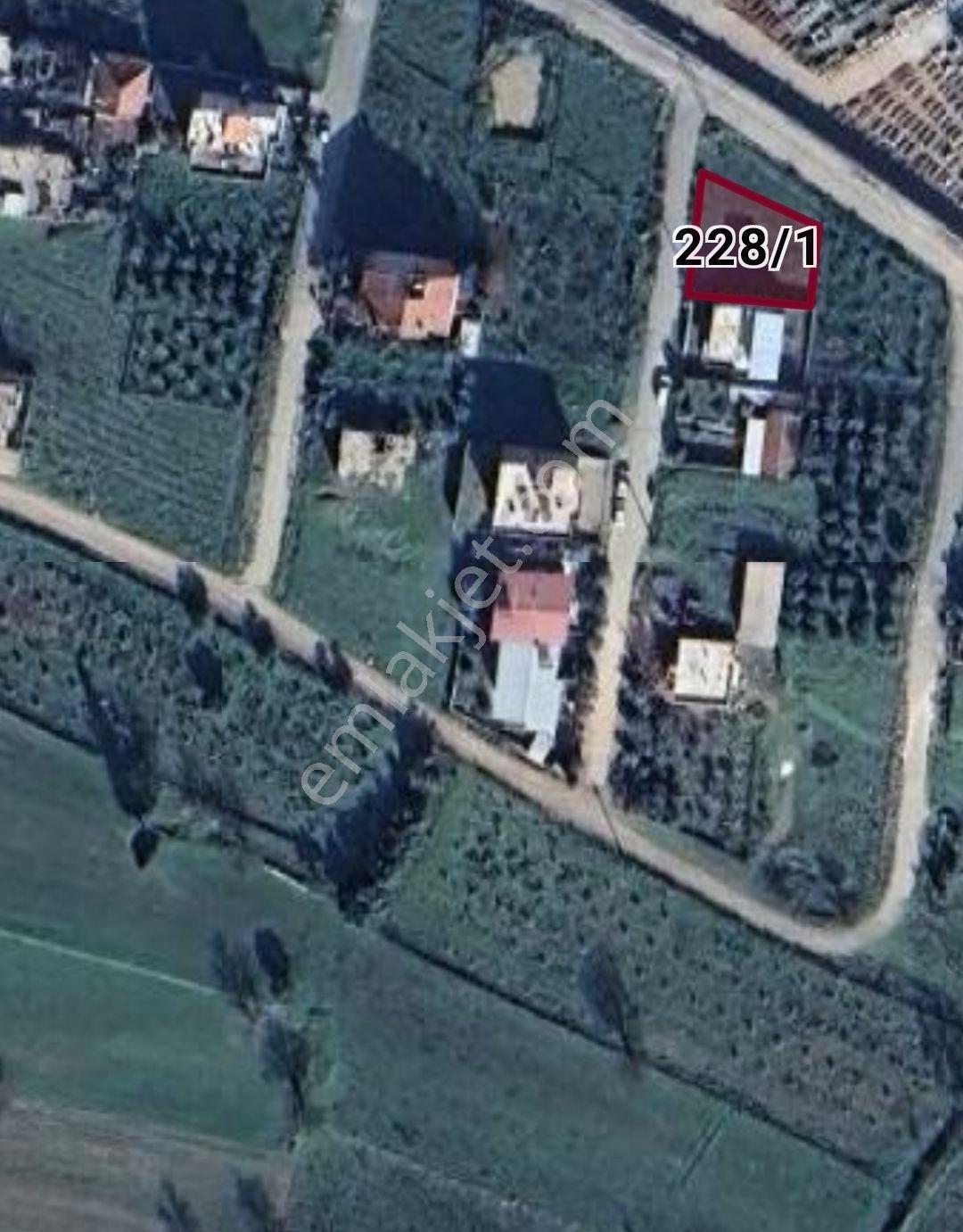 Sahibinden Güldede