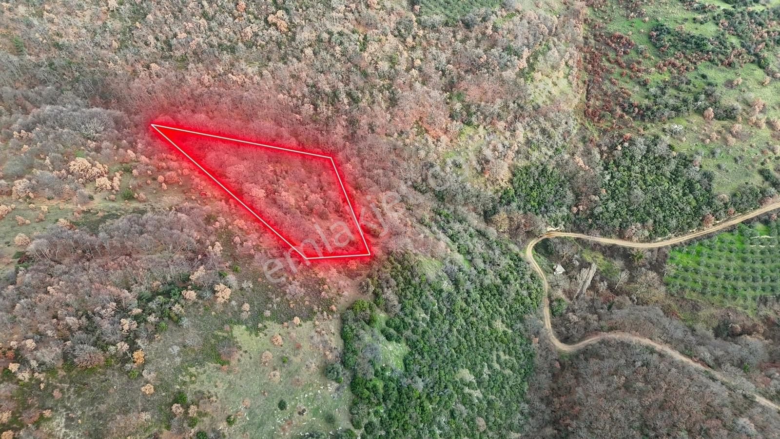 İznik Sarıağıl Köyünde Yola Yakın Çok Ucuz 2900 M2 Tarla - Görsel 2