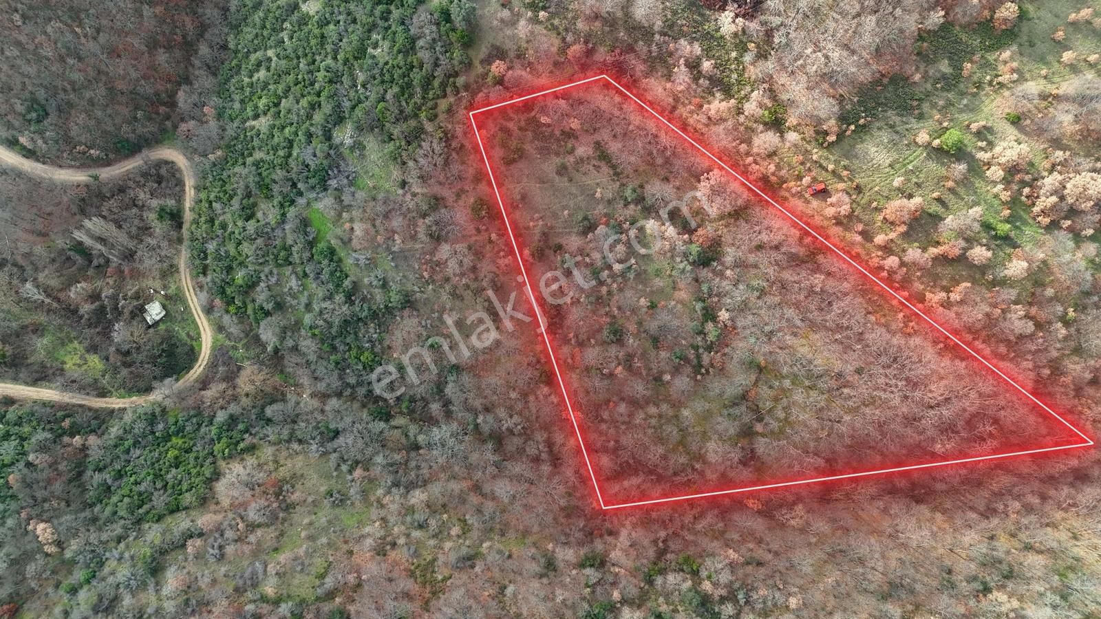 İznik Sarıağıl Köyünde Yola Yakın Çok Ucuz 2900 M2 Tarla - Görsel 10