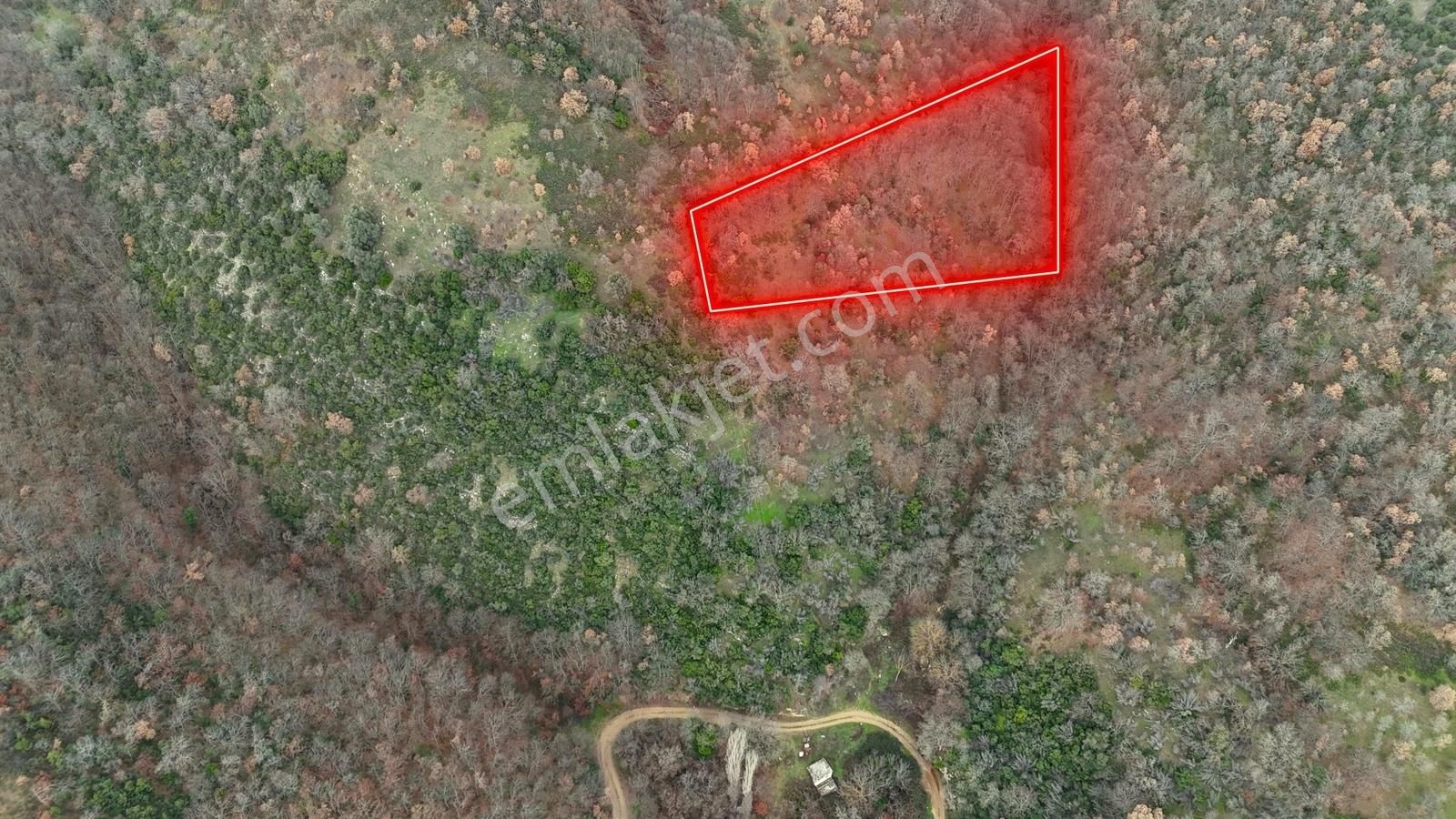 İznik Sarıağıl Köyünde Yola Yakın Çok Ucuz 2900 M2 Tarla - Görsel 4