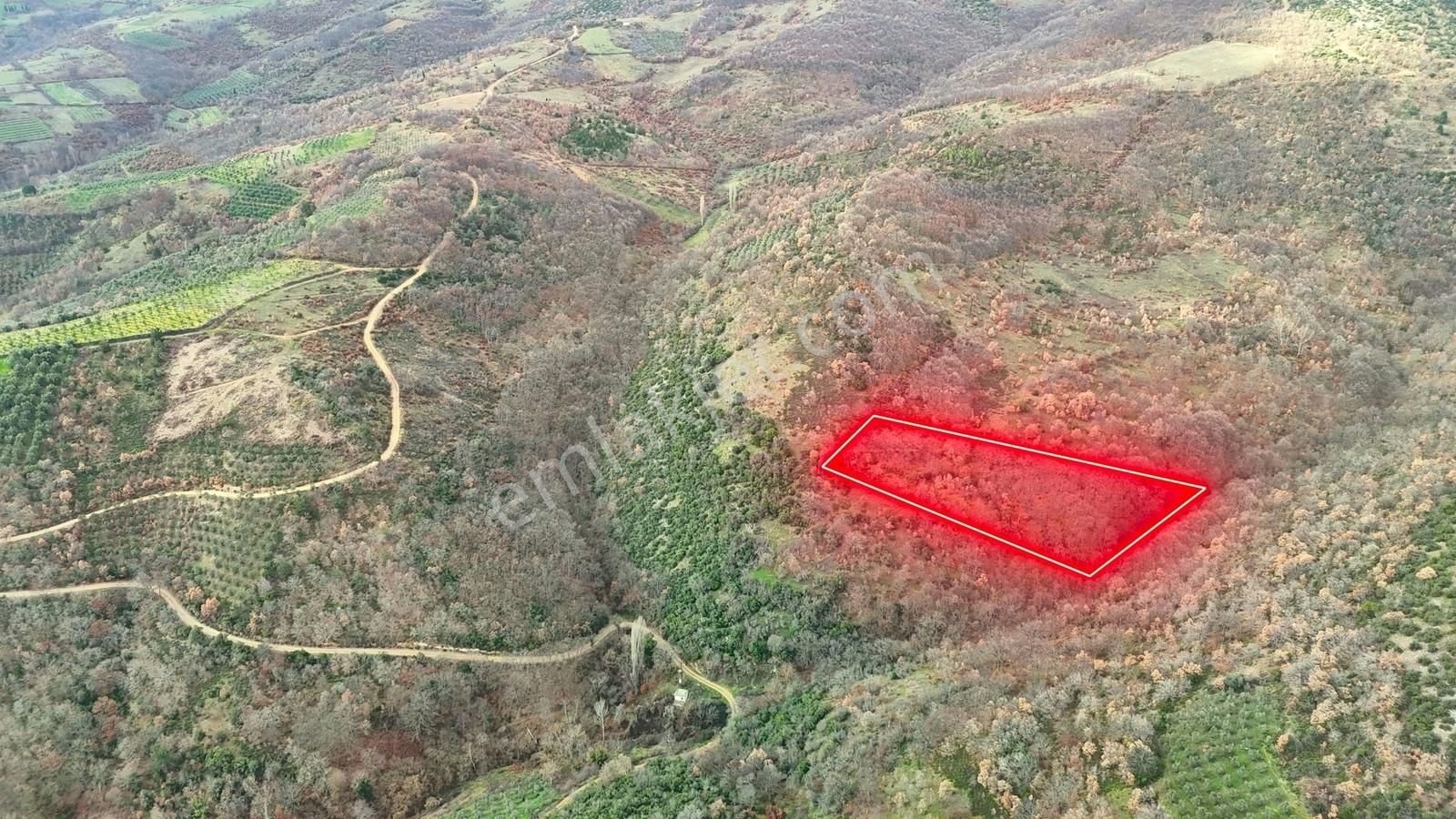 İznik Sarıağıl Köyünde Yola Yakın Çok Ucuz 2900 M2 Tarla - Görsel 6