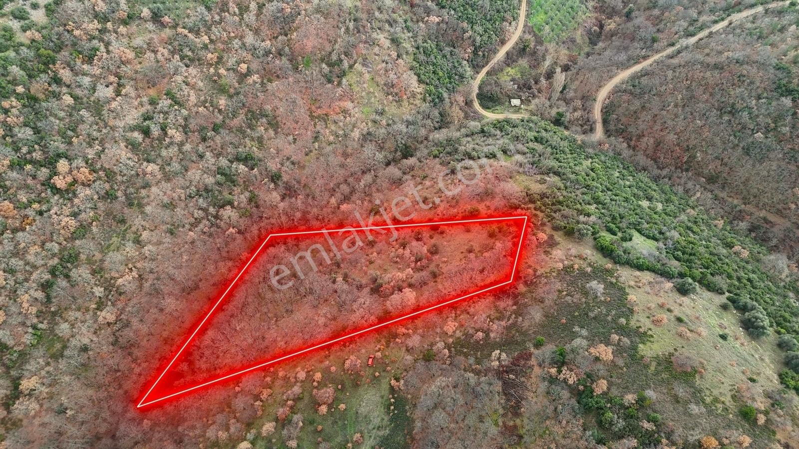 İznik Sarıağıl Köyünde Yola Yakın Çok Ucuz 2900 M2 Tarla - Görsel 5