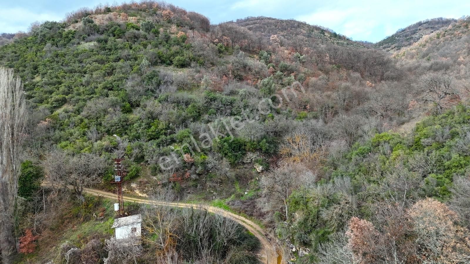 İznik Sarıağıl Köyünde Yola Yakın Çok Ucuz 2900 M2 Tarla - Görsel 8