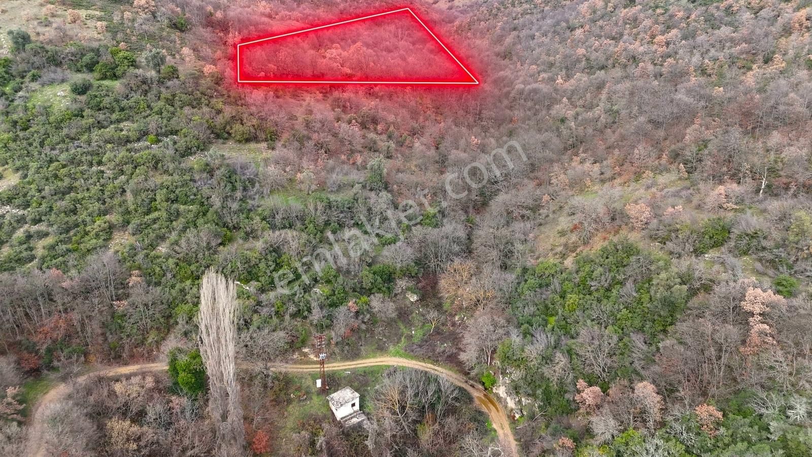 İznik Sarıağıl Köyünde Yola Yakın Çok Ucuz 2900 M2 Tarla - Görsel 3