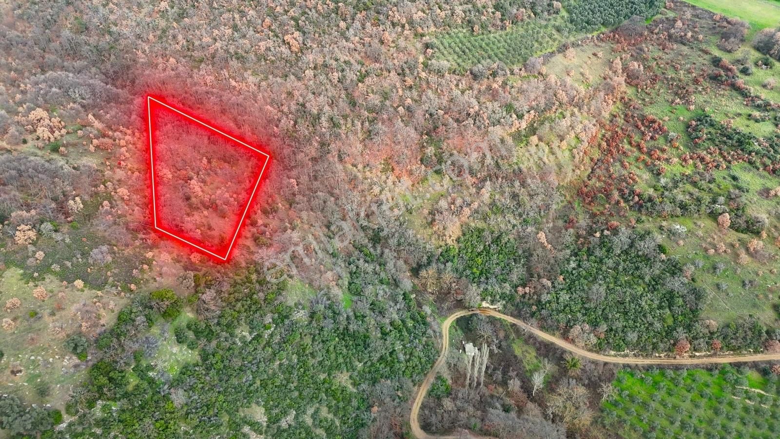 İznik Sarıağıl Köyünde Yola Yakın Çok Ucuz 2900 M2 Tarla - Görsel 9