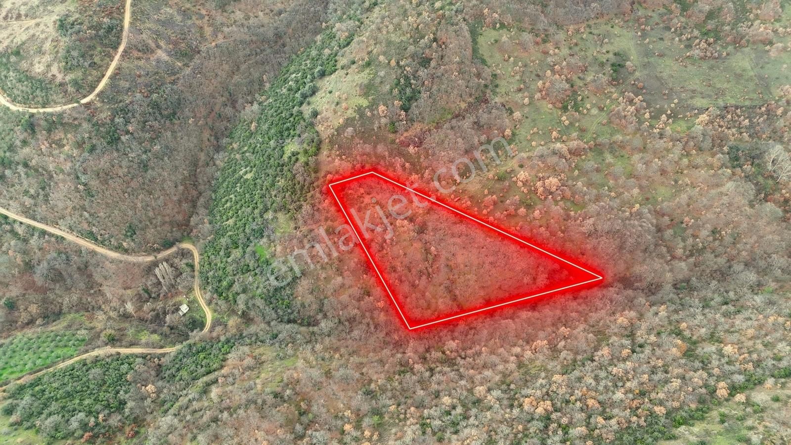 İznik Sarıağıl Köyünde Yola Yakın Çok Ucuz 2900 M2 Tarla - Görsel 11