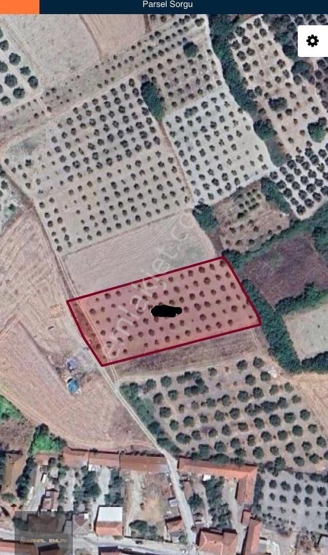 Mudanya Evciler Mahallesi’nde Köy İçinde Bakımlı Tarla Tapulu Arsa | Fırsat Fiyat! - Görsel 3
