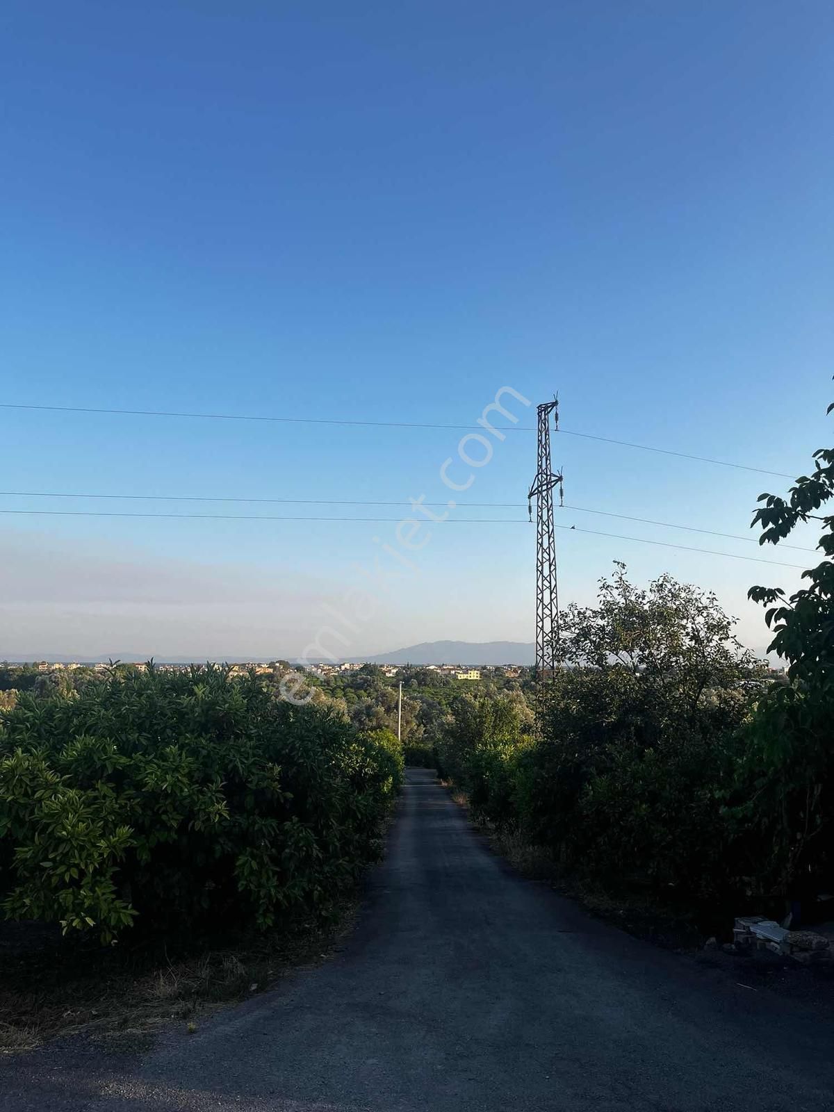 Sarı Emlaktan Emsalsiz Tarla - Görsel 3