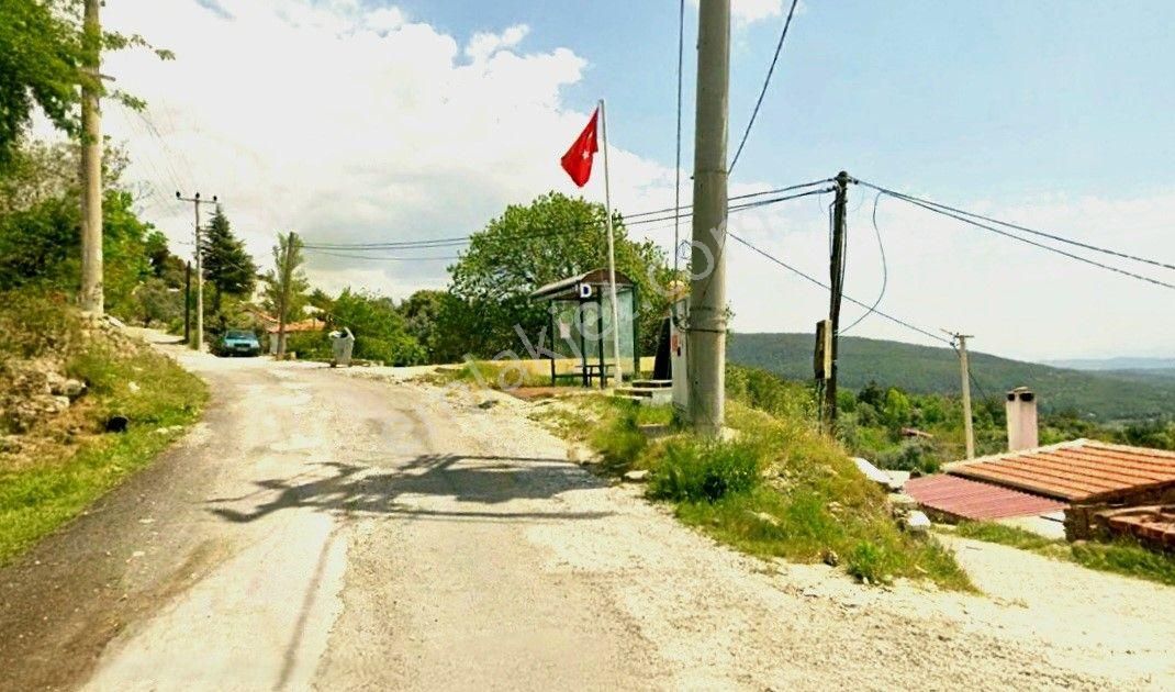 Mılas Yoğunoluk’ta Yatırımlık | Köy Merkezıne Yakın | 7.348 M² Tarla | Uygun Fıyat - Görsel 3