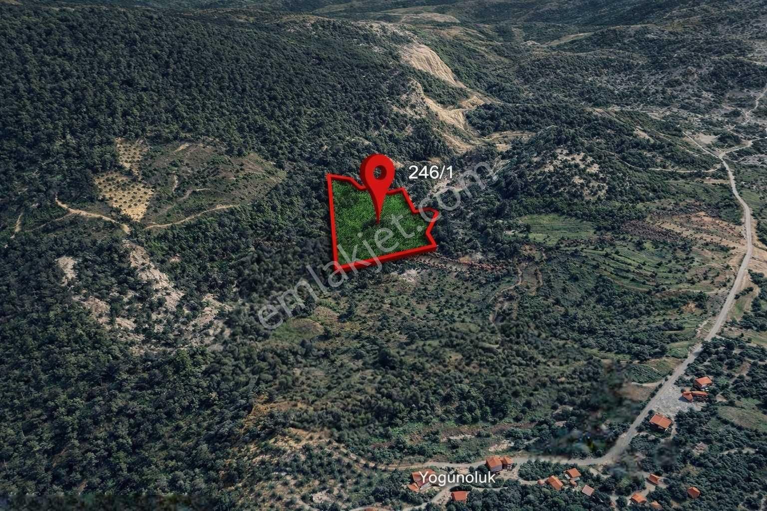 Mılas Yoğunoluk’ta Yatırımlık | Köy Merkezıne Yakın | 7.348 M² Tarla | Uygun Fıyat - Görsel 2