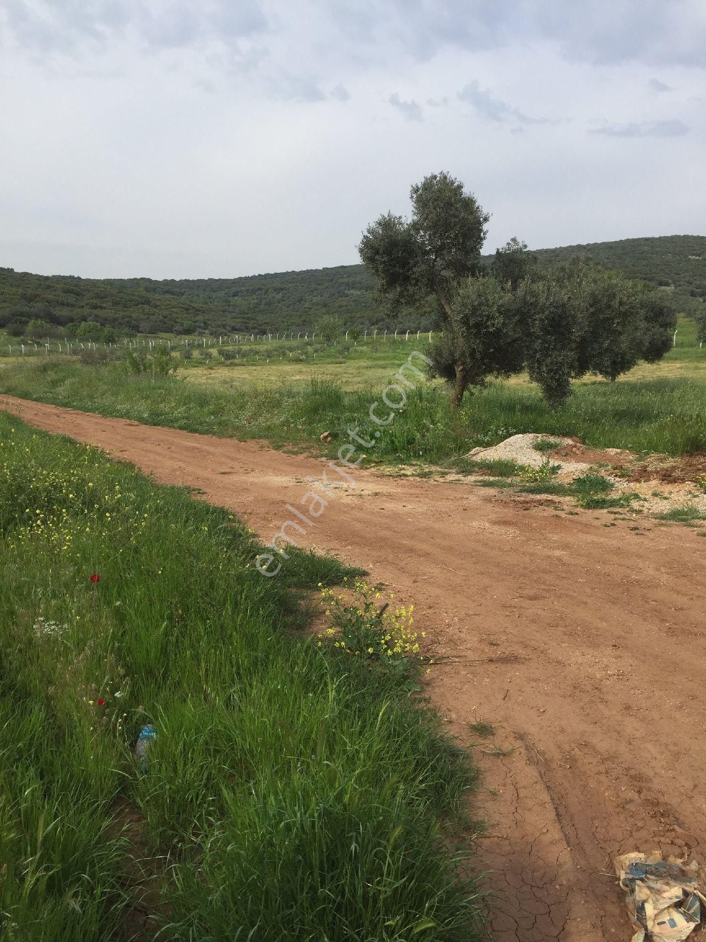 İzmir İmarlı Arsa 1955m² İmar Belgesi Mevcutdur. - Görsel 5