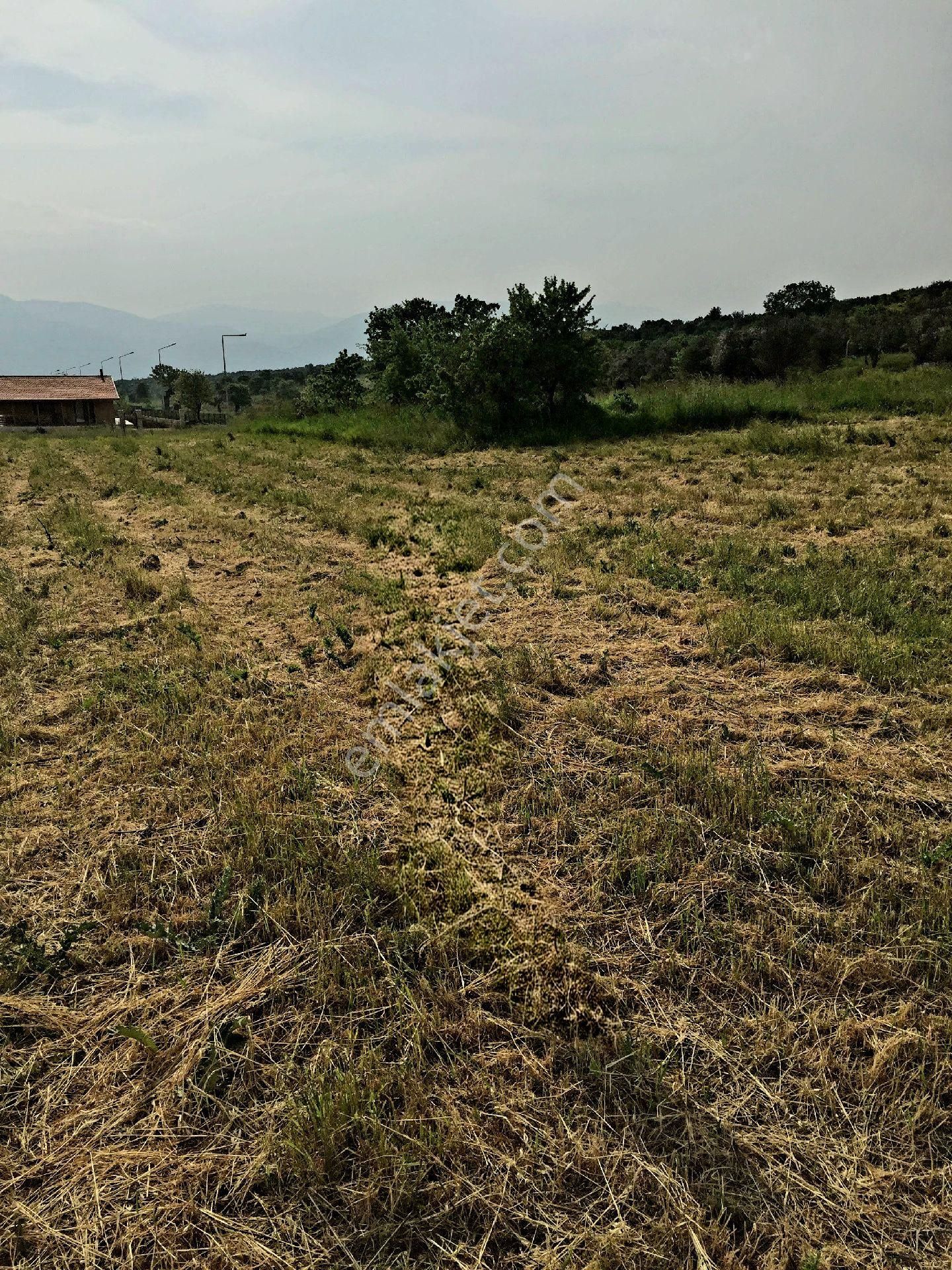 İzmir İmarlı Arsa 1955m² İmar Belgesi Mevcutdur.